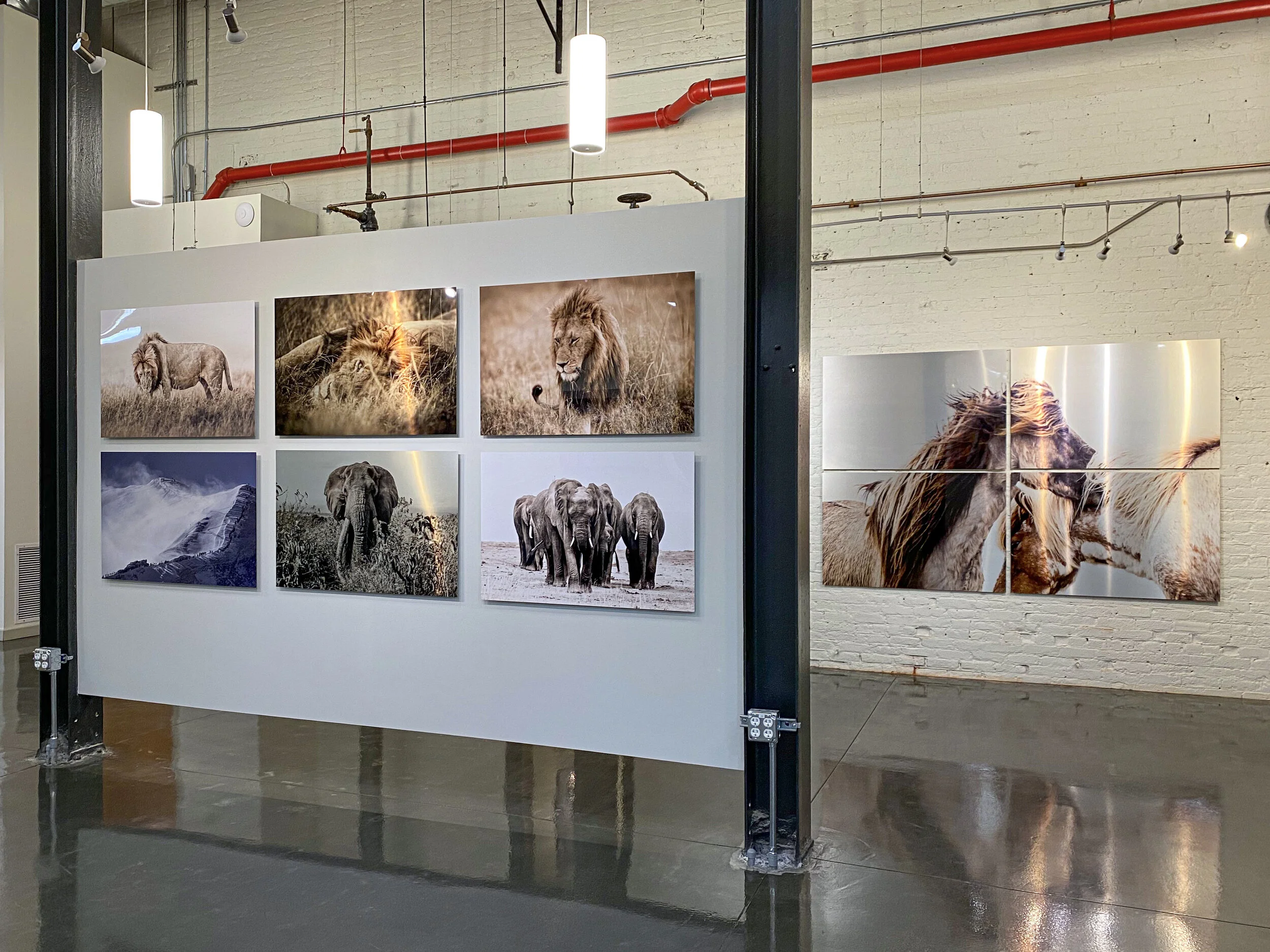 Guadalupe Laiz Virtual Gallery 2 13.jpeg