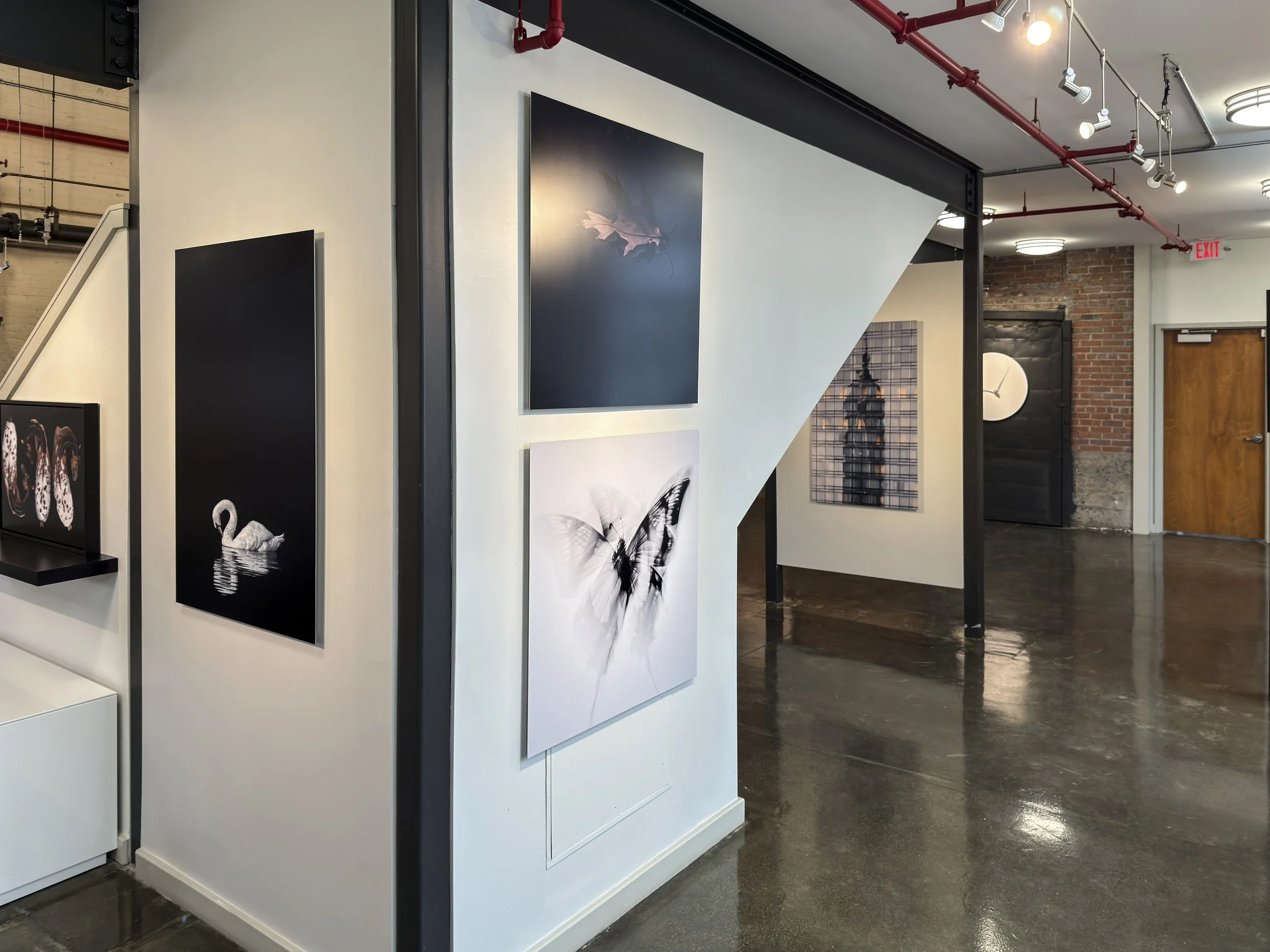 Women Behind The Lens 2926 -79.jpg