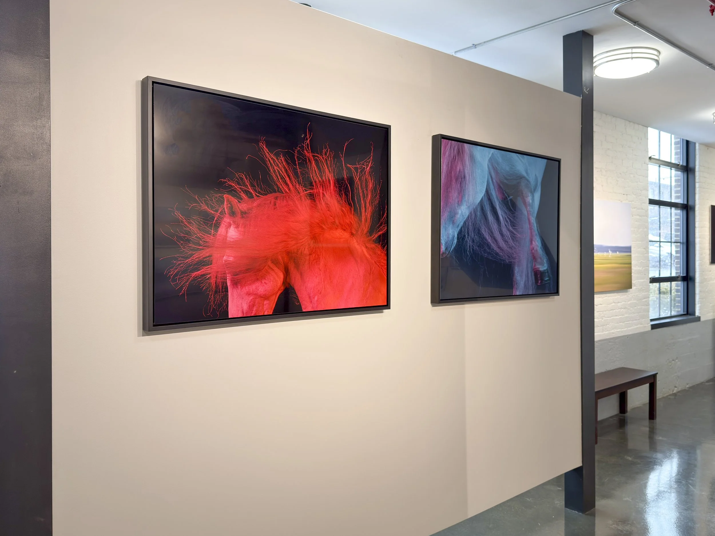 Women Behind The Lens 2926 -40.jpg