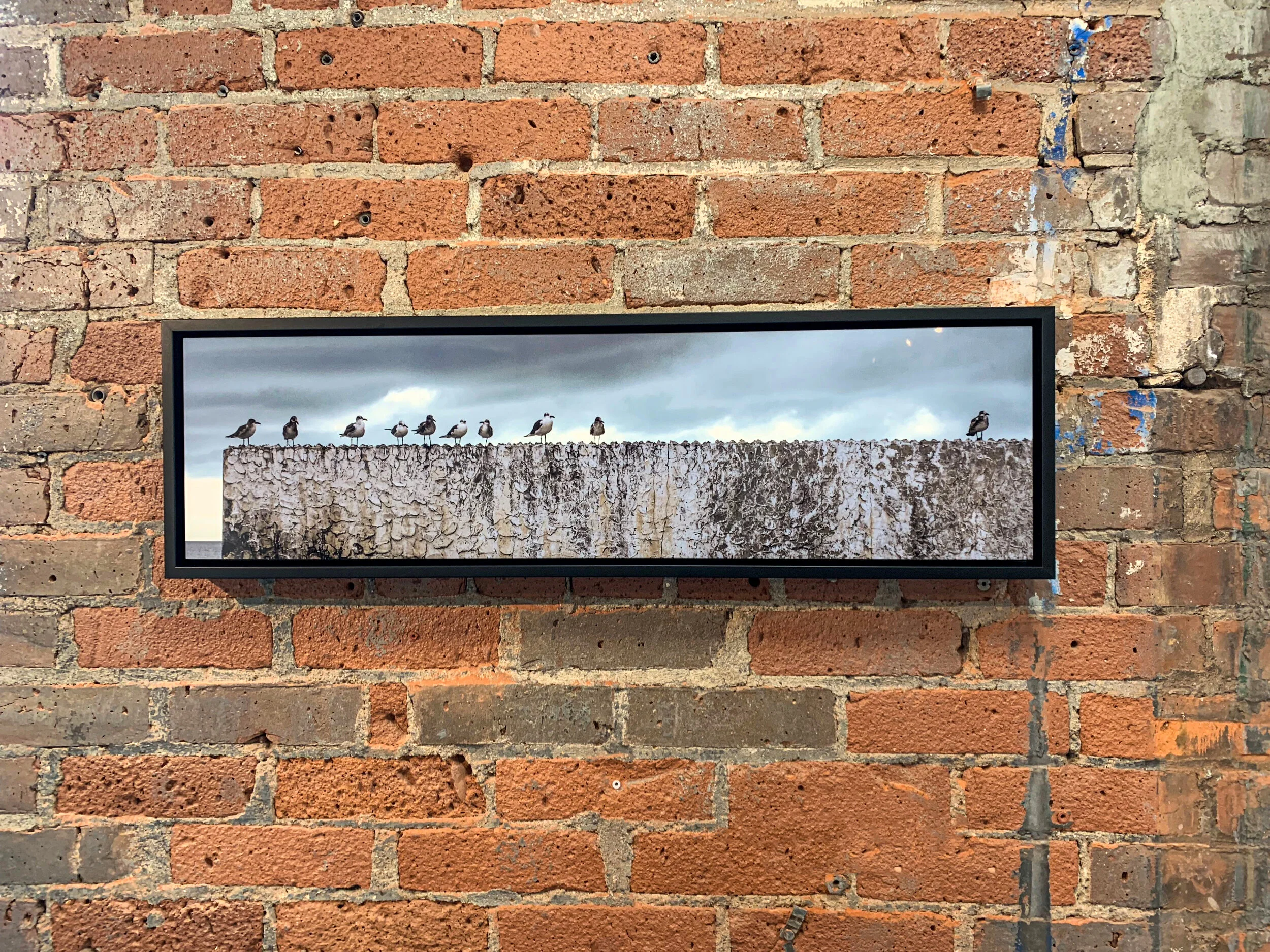 Alan Blazar Product Shots 15.jpeg