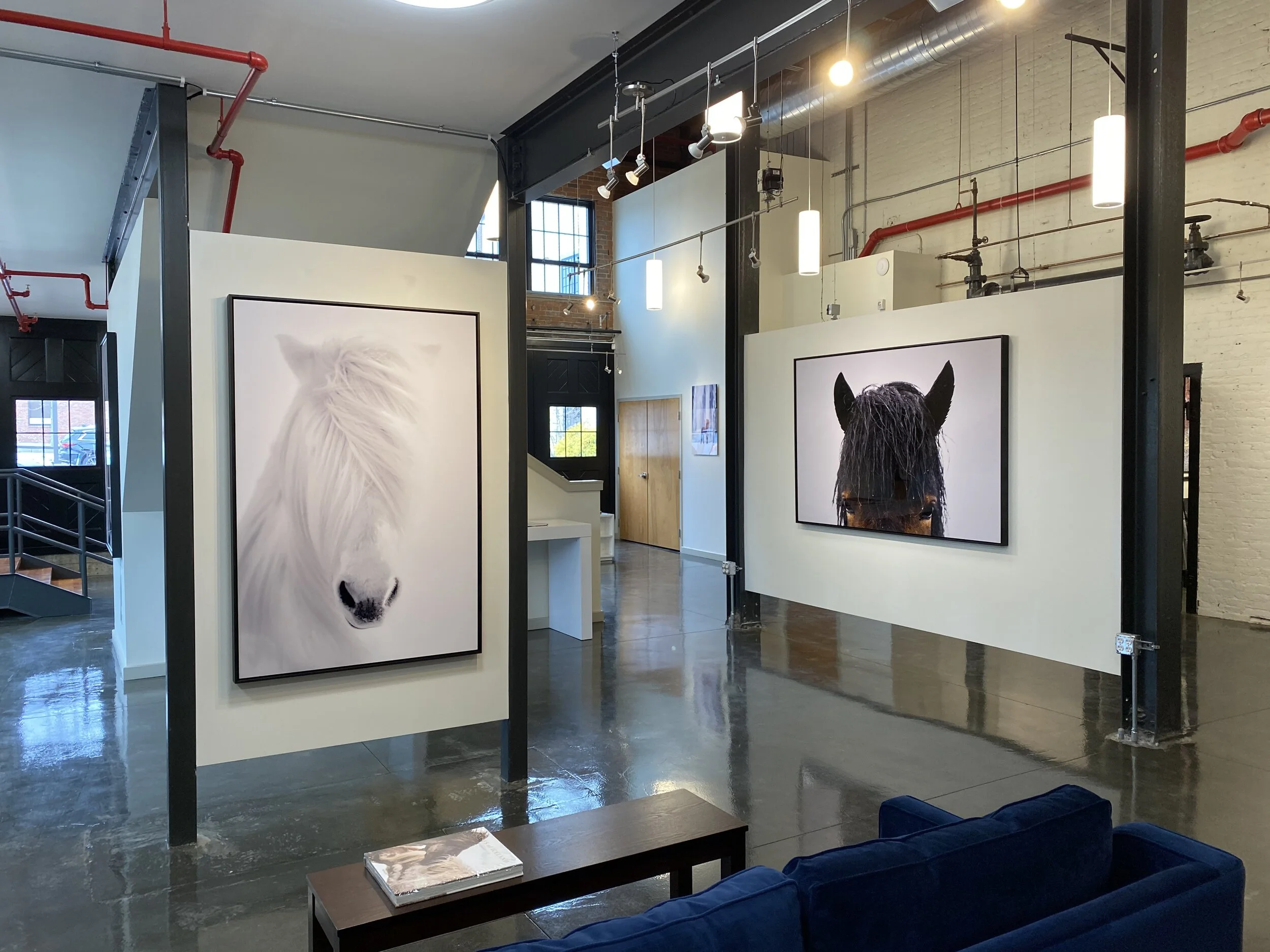 Guadalupe Laiz 6.jpeg