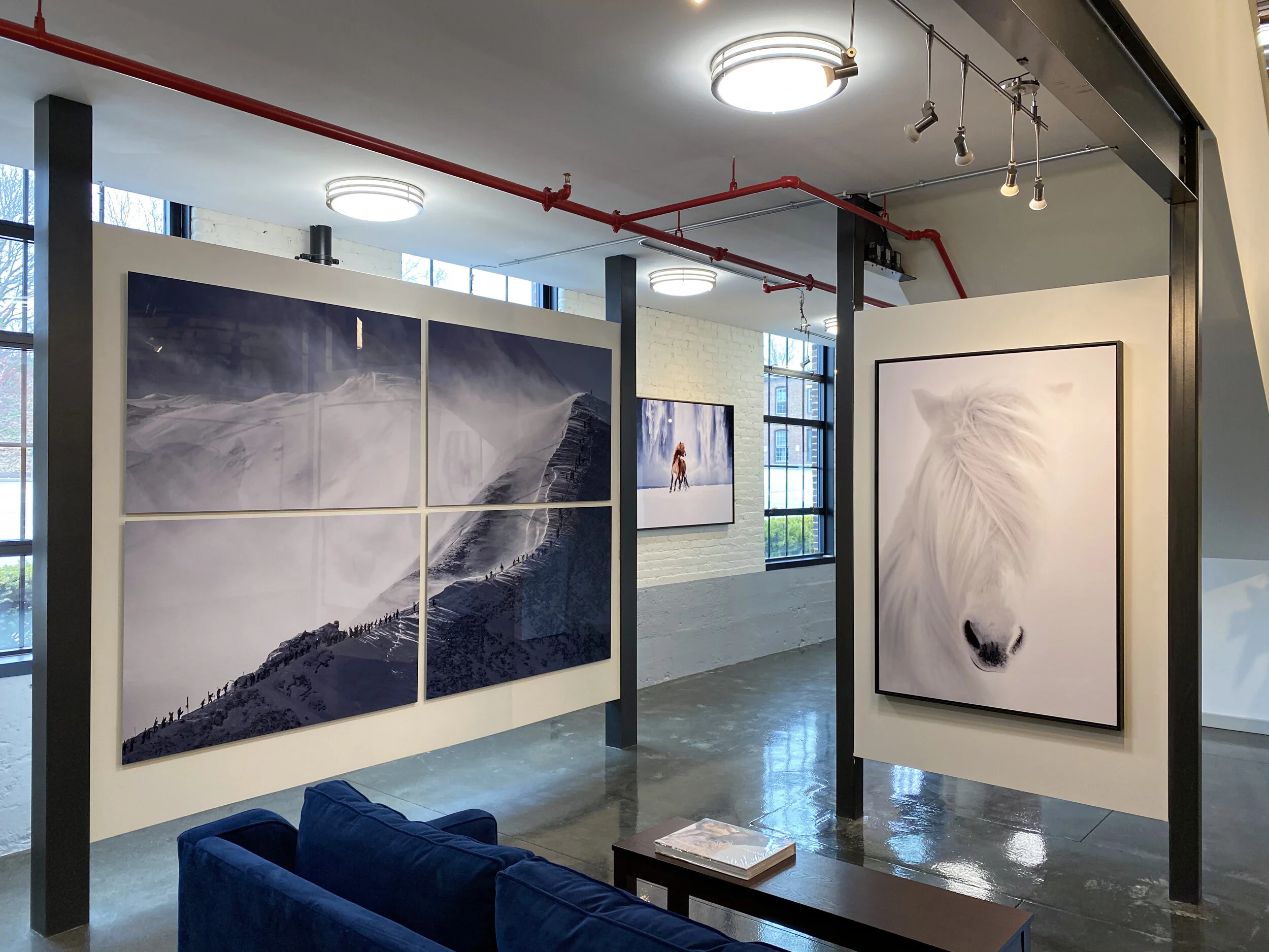 Guadalupe Laiz 7.jpeg