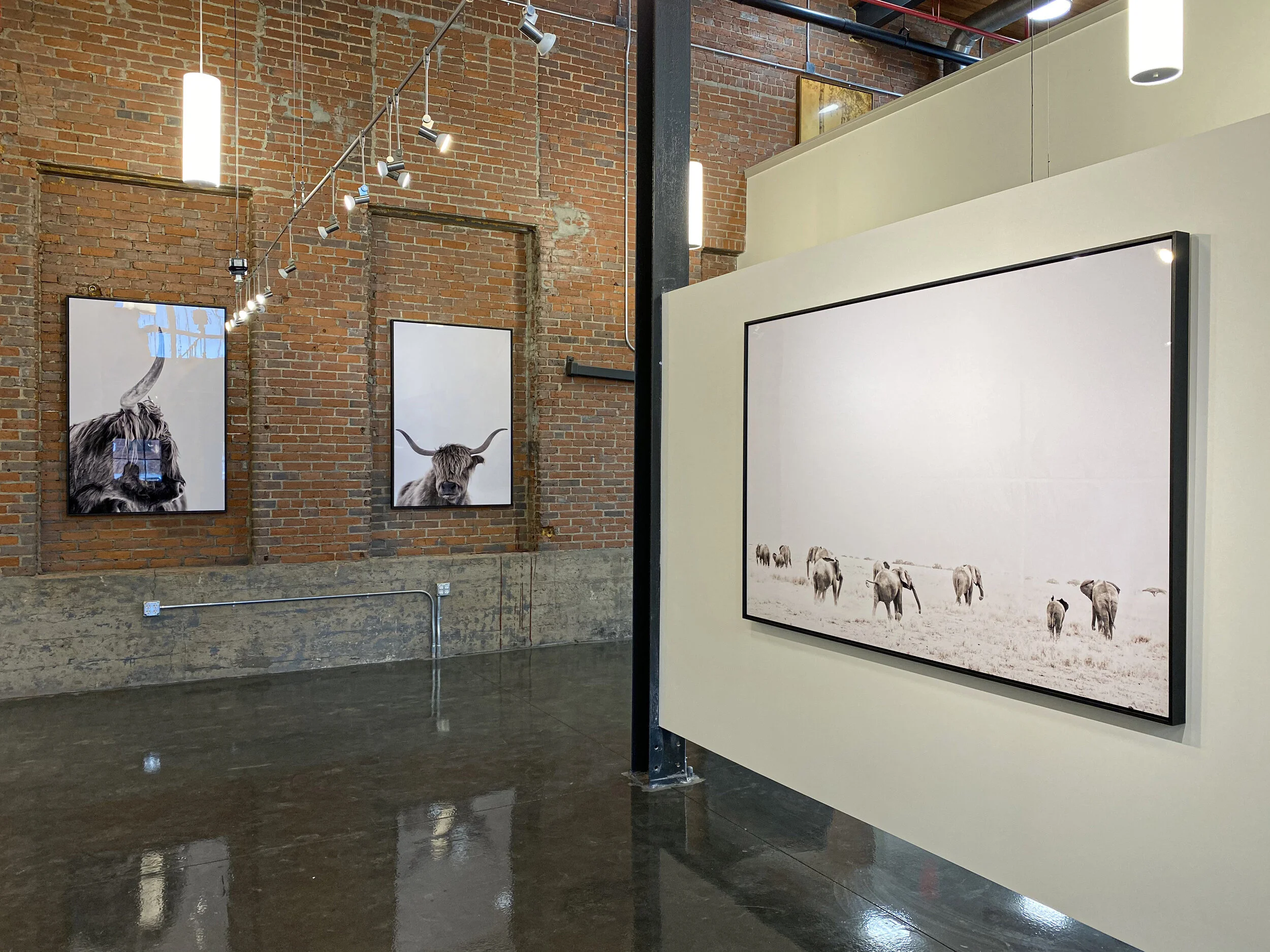 Guadalupe Laiz 31.jpeg