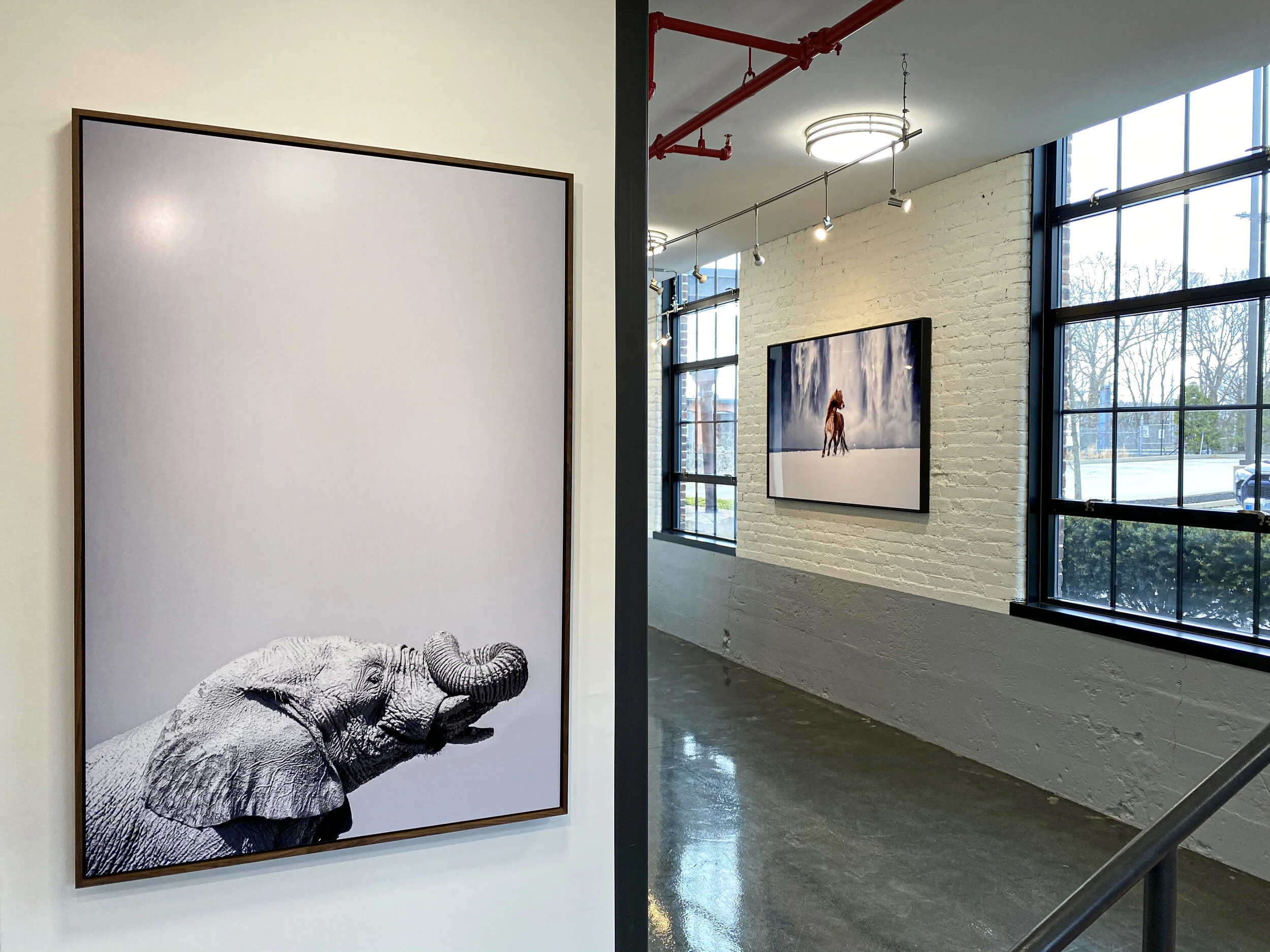 Guadalupe Laiz 34.jpeg