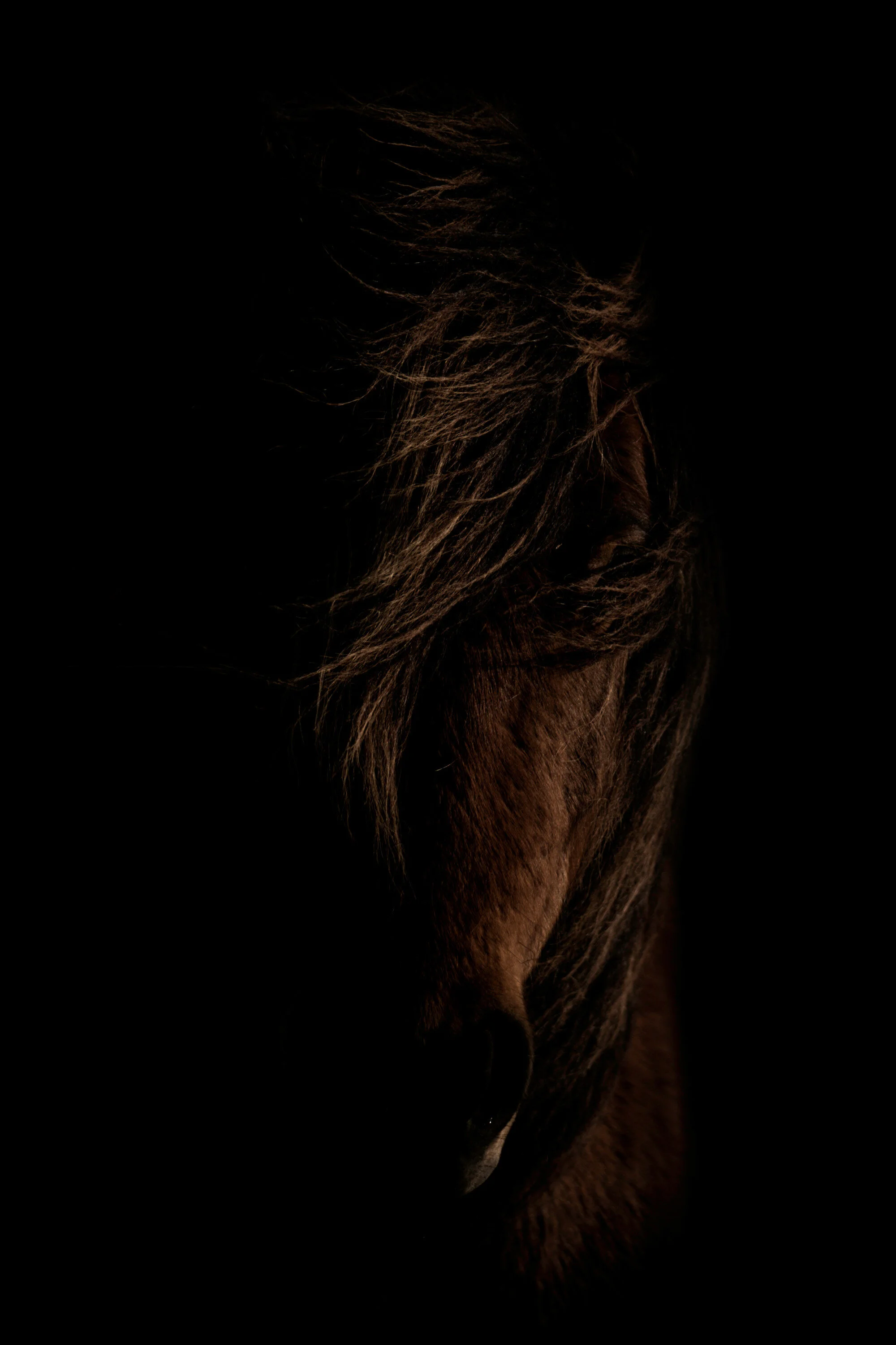 "Sleepless Night" 60x40 on Dye Sub Aluminum