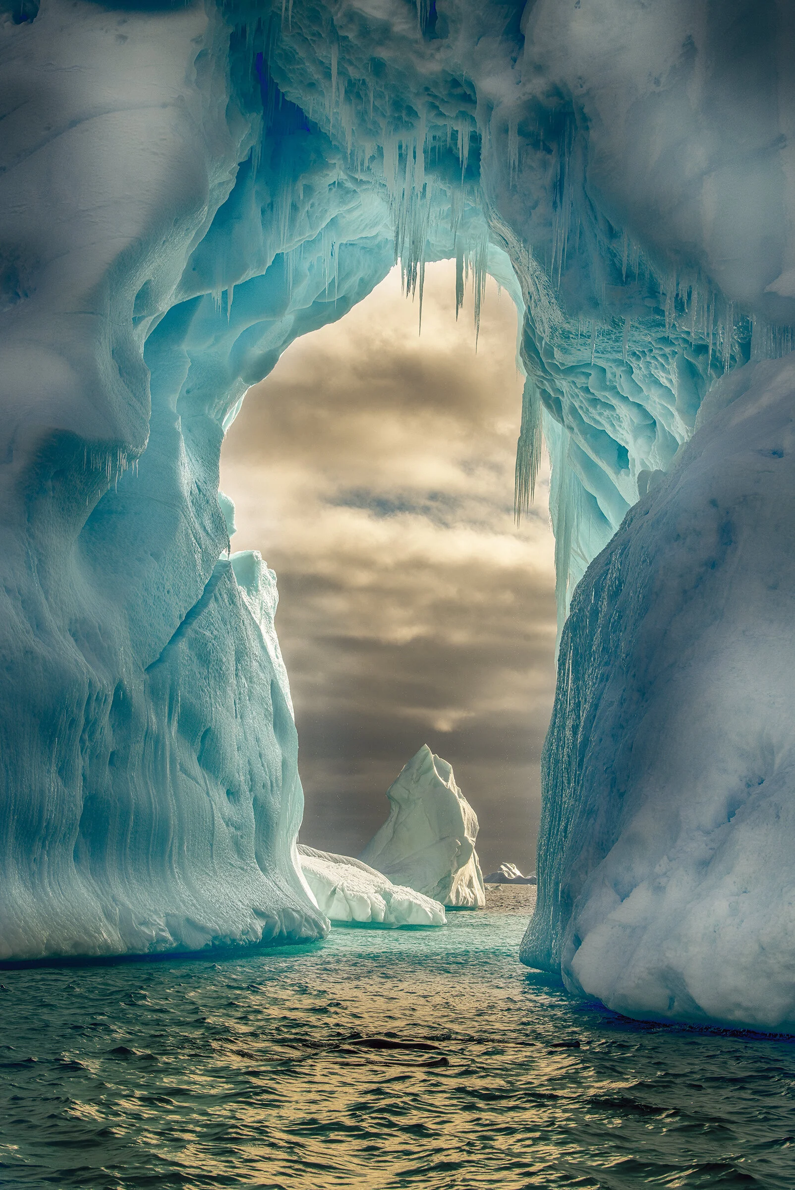 Life Beyond the Arch - Antarctica 26.75x40