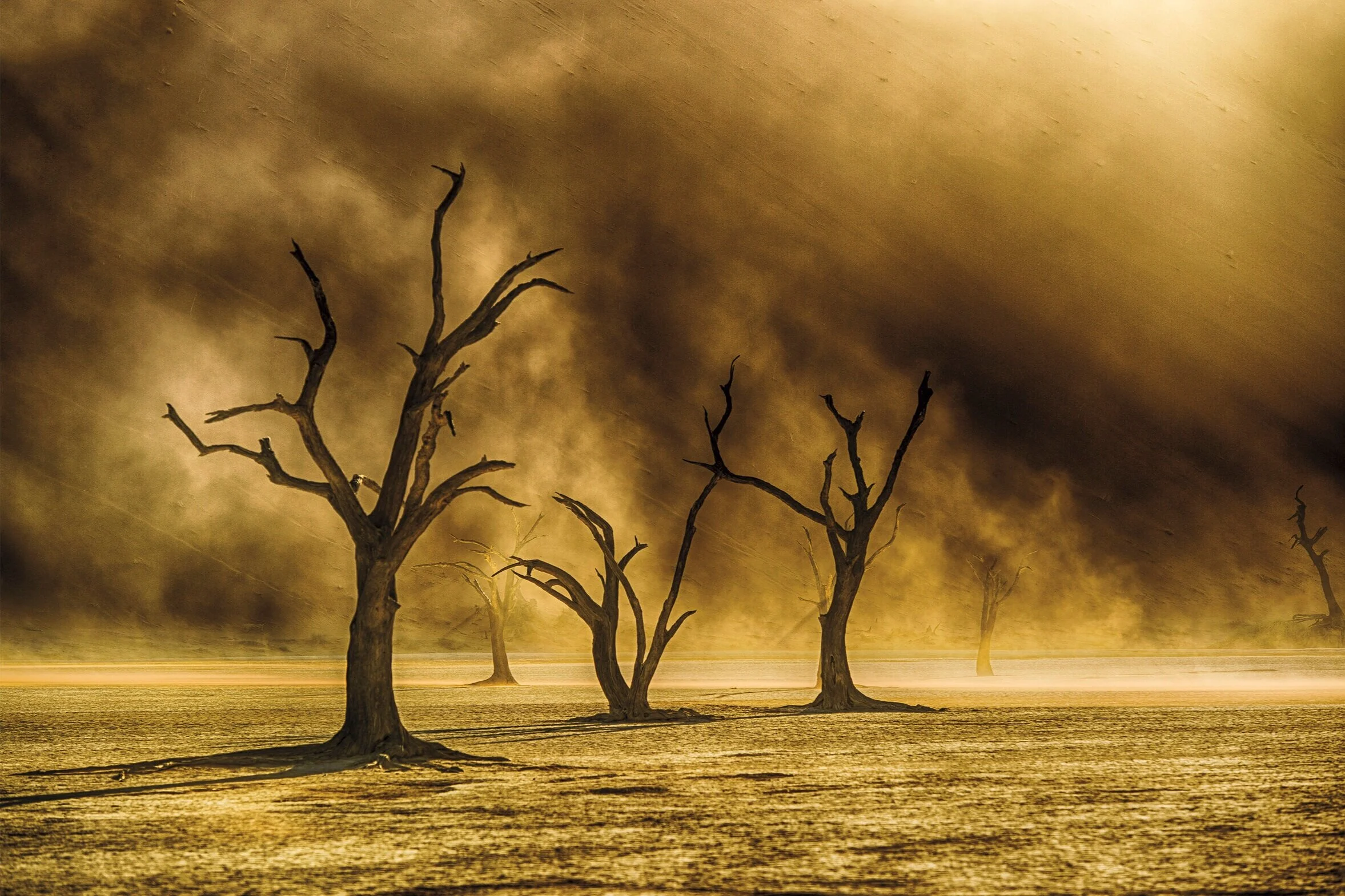 Sandstorm - Nambia 40x60