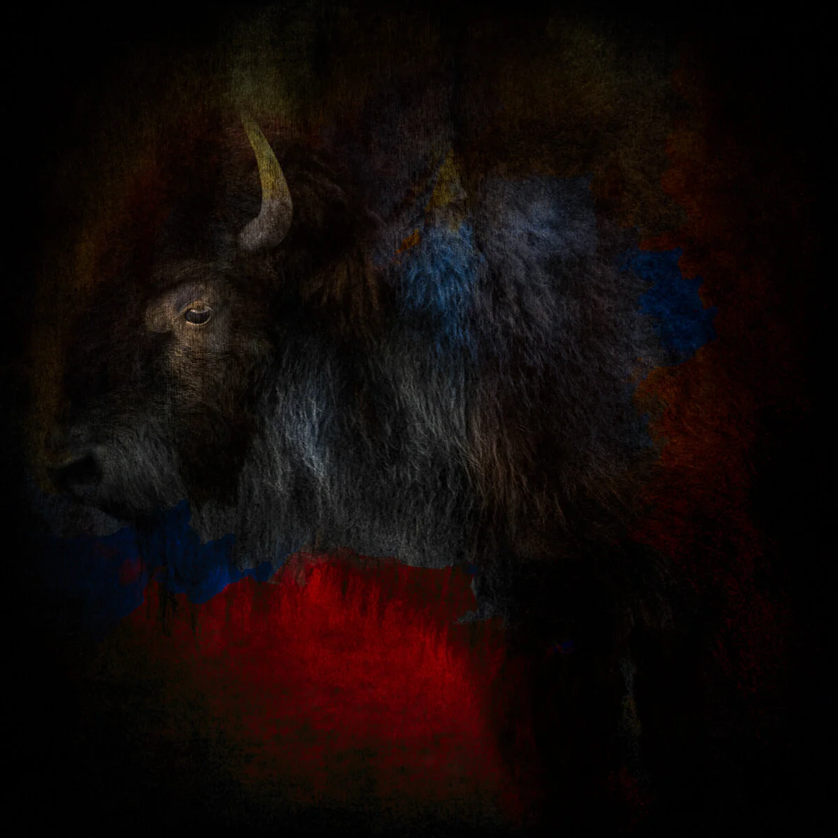 Pensive Bison 48x48