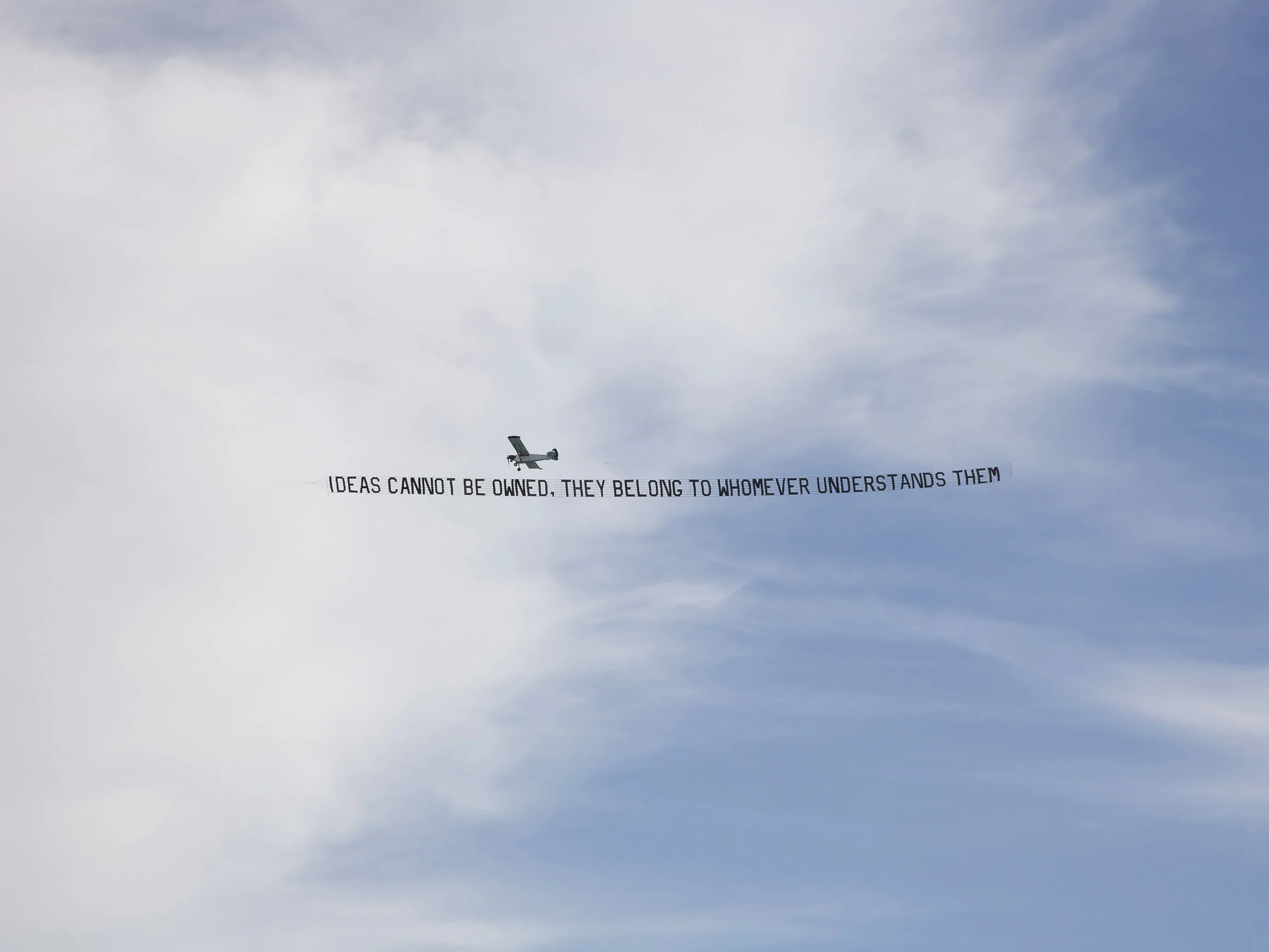 Ideas Cannot Be Owned 30x40