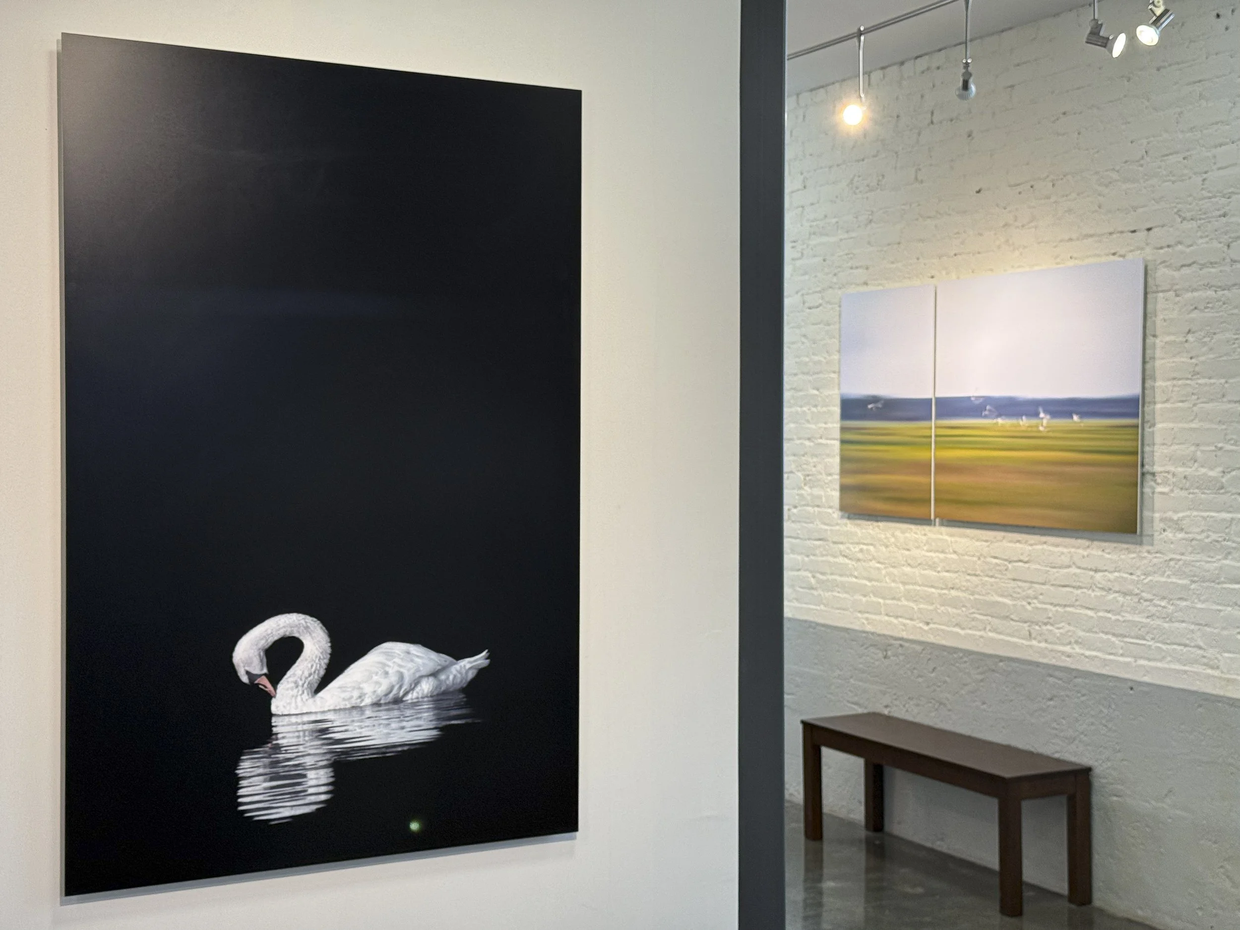 Women Behind The Lens 2926 -73.jpg