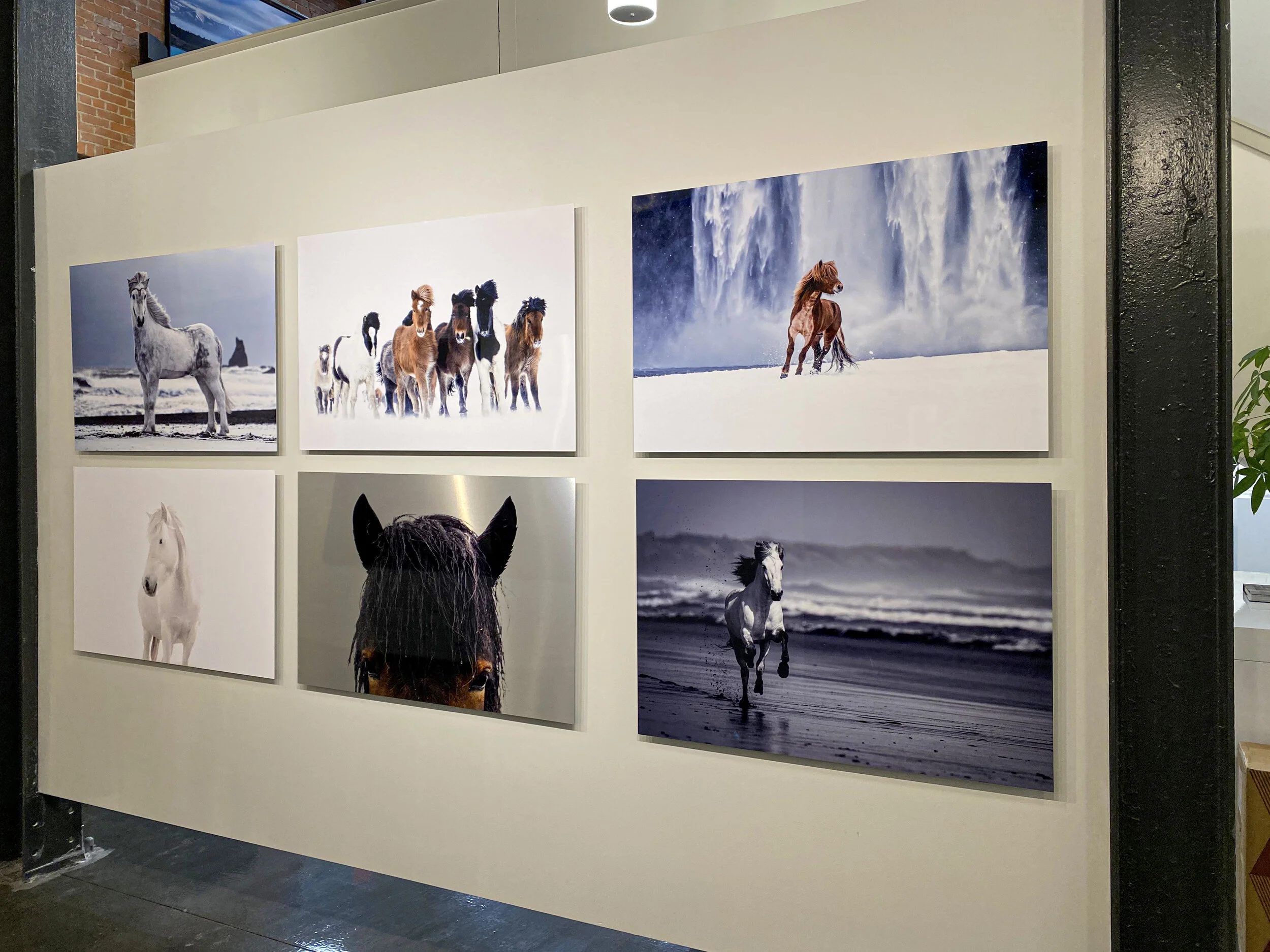 Guadalupe Laiz Virtual Gallery 2 2.jpeg