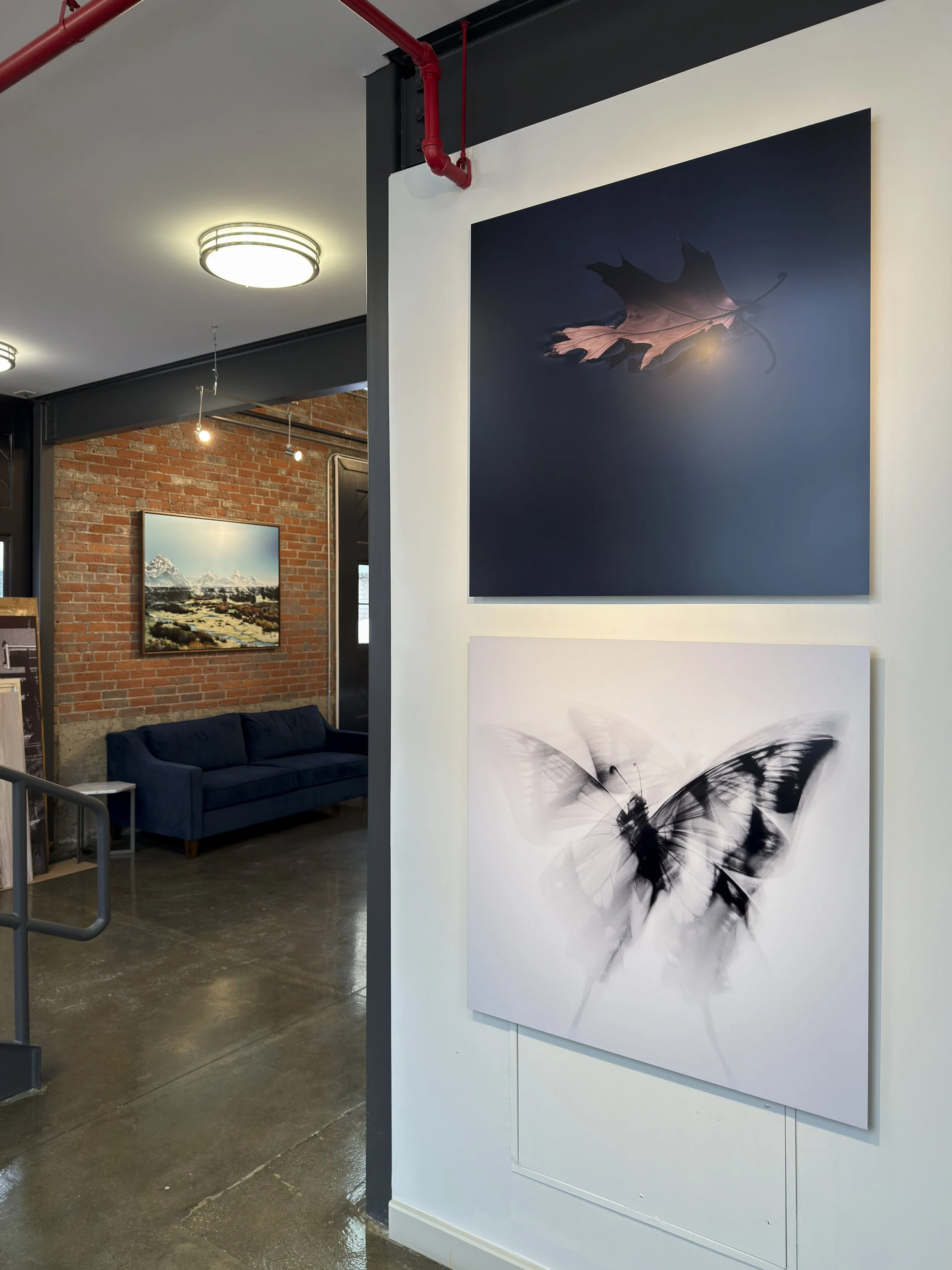 Women Behind The Lens 2926 -92.jpg