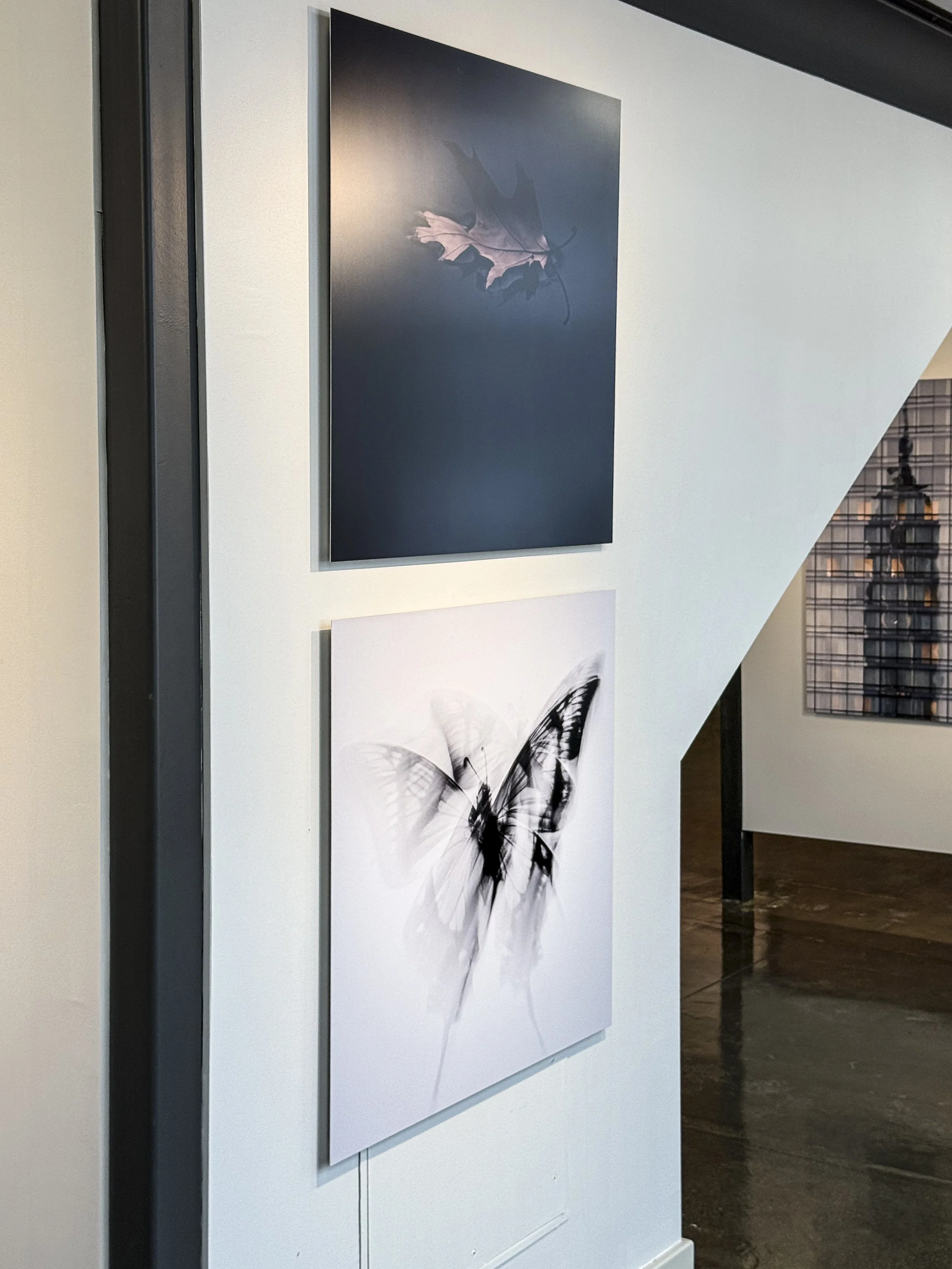 Women Behind The Lens 2926 -78.jpg