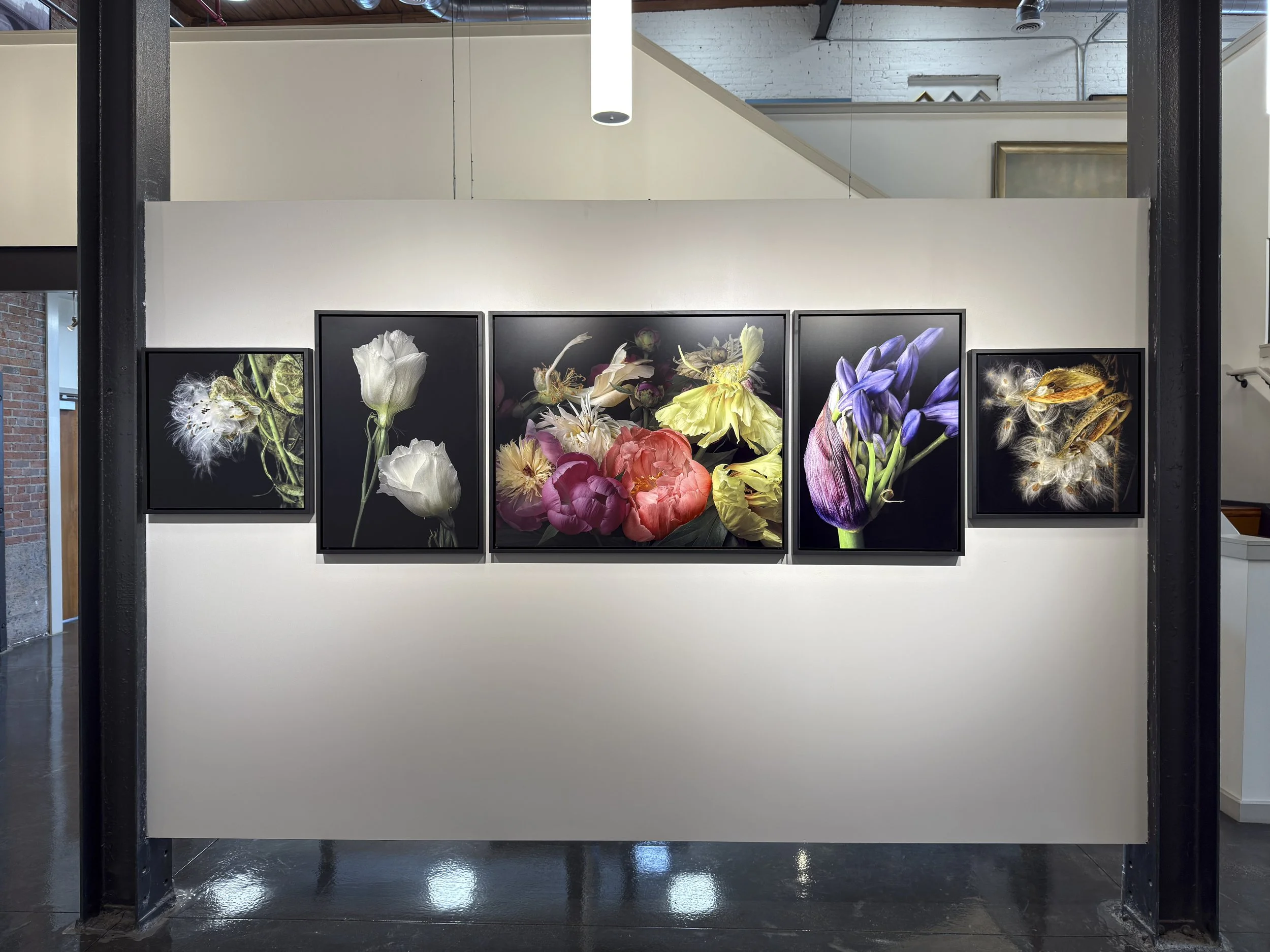 Women Behind The Lens 2926 -100.jpg