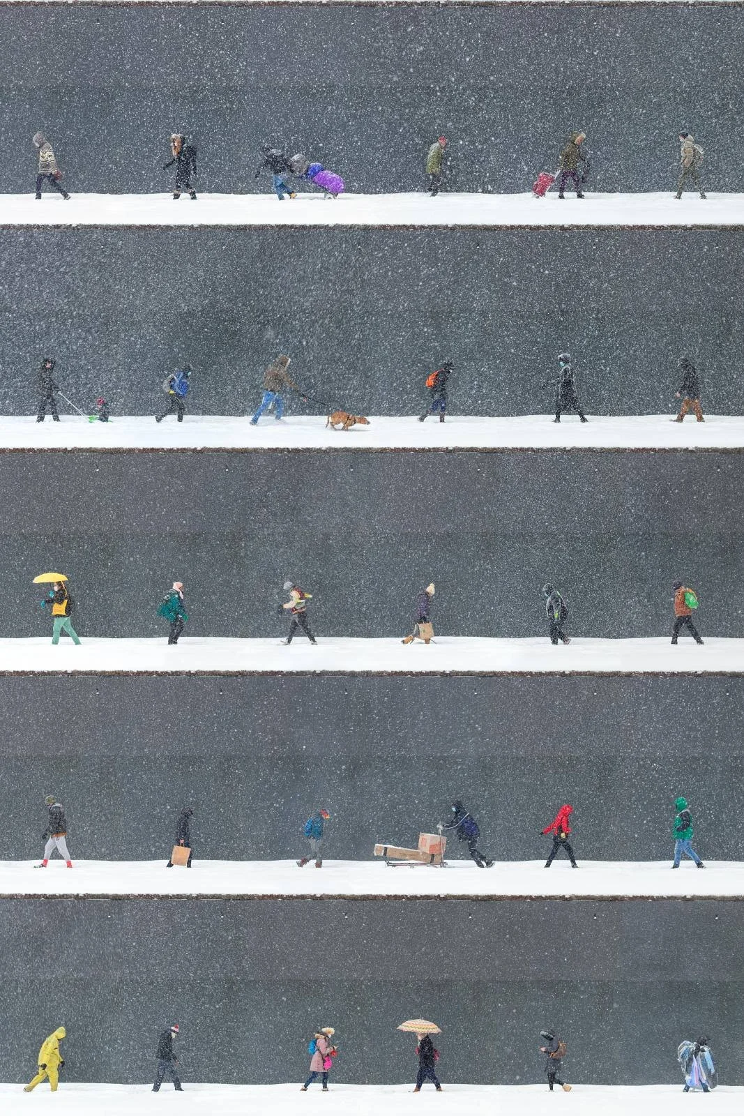 Snow Day, Midtown, NYC