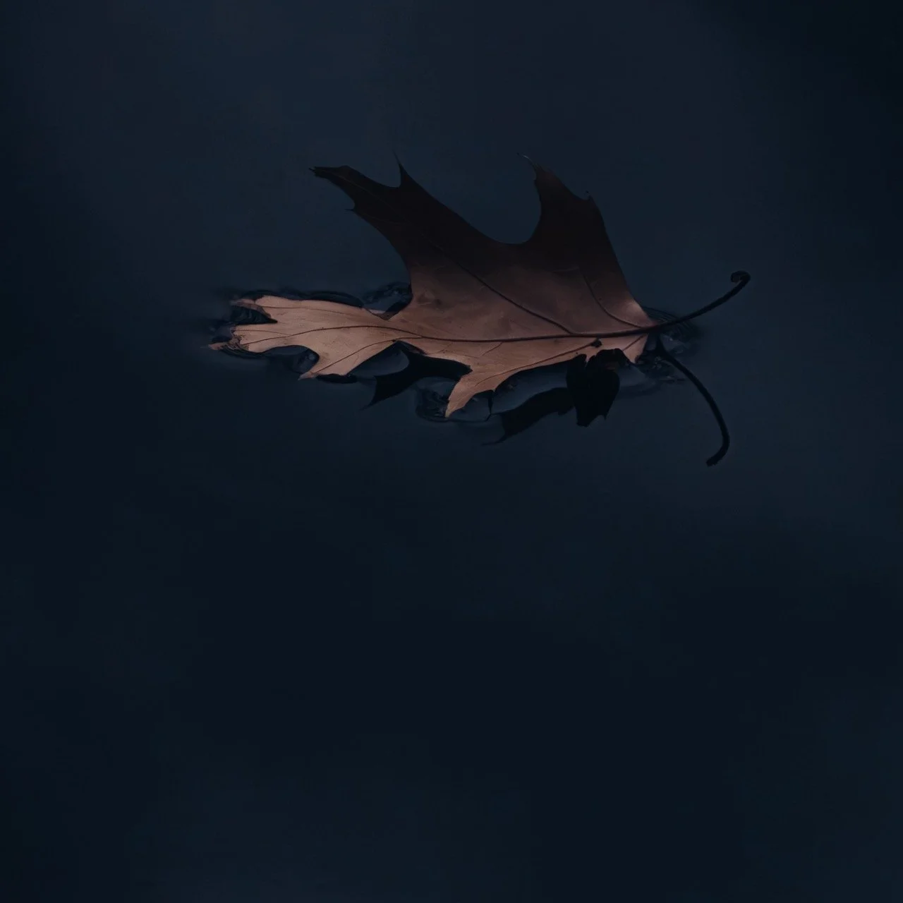 “At The Threshold of Break” • 35x35” • Dye Sublimation on Aluminum