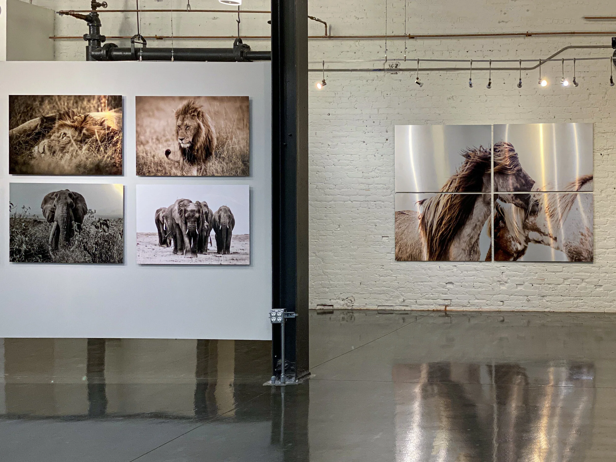 Guadalupe Laiz Virtual Gallery 2 16.jpeg