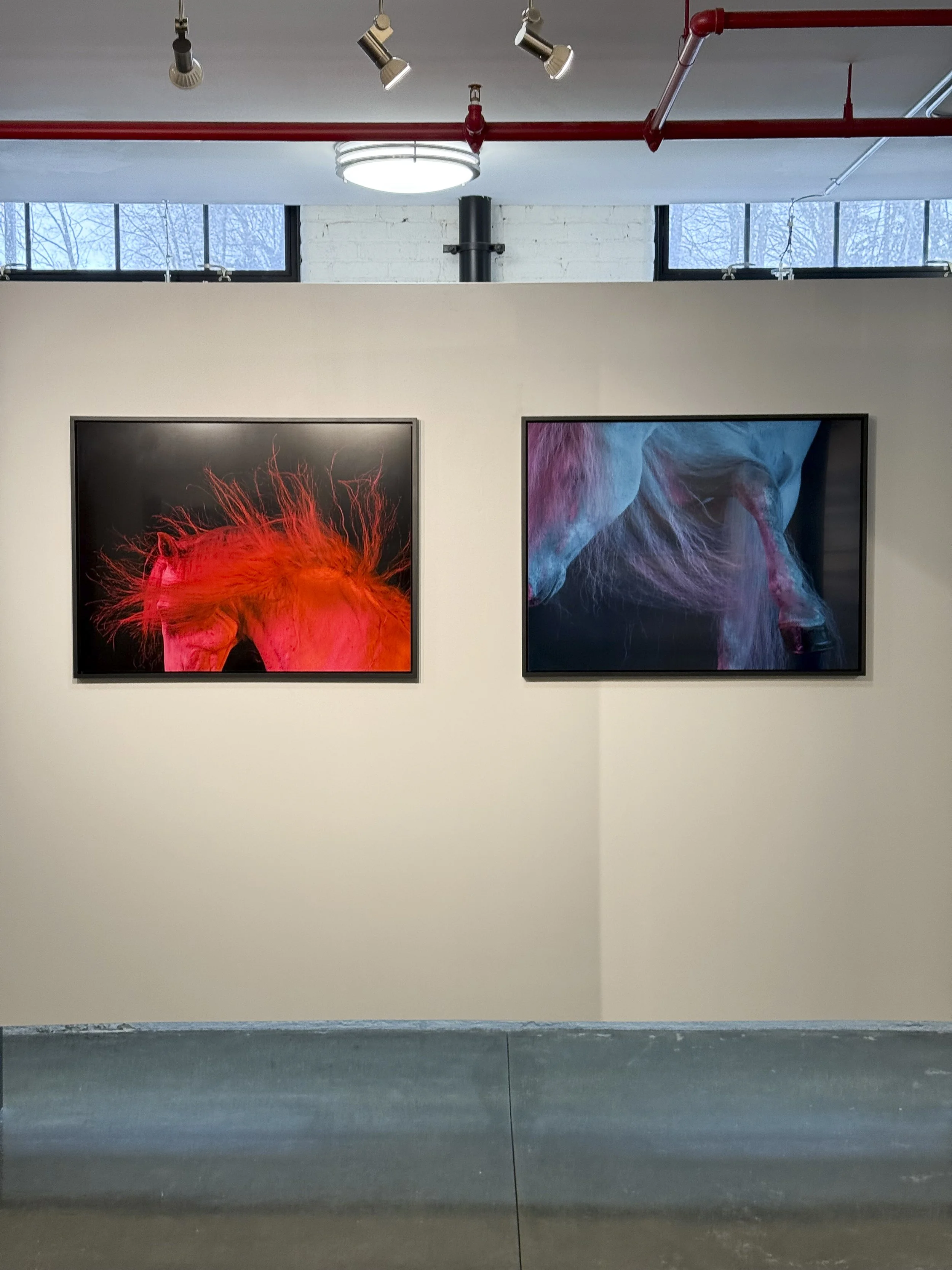 Women Behind The Lens 2926 -31.jpg