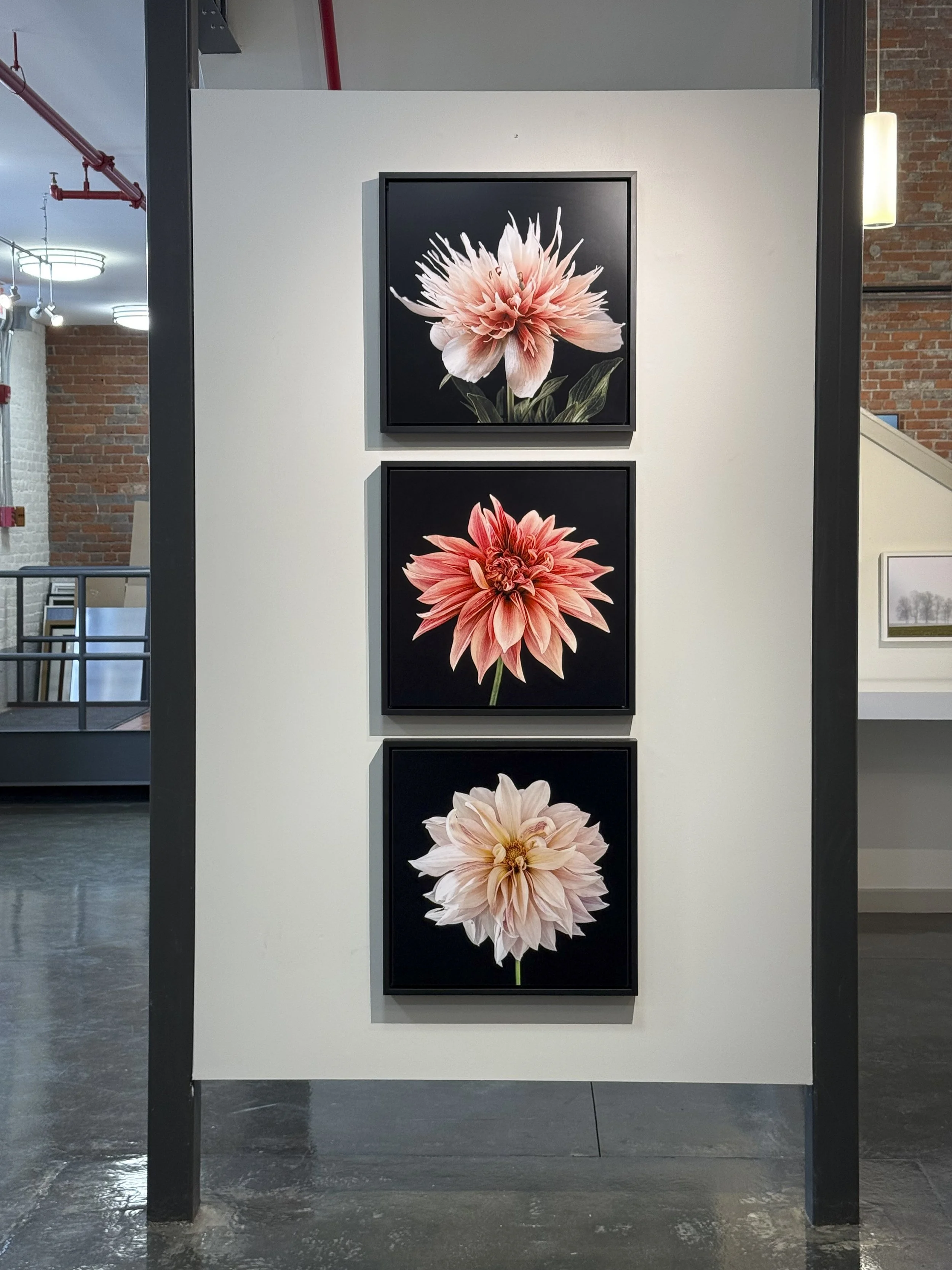 Women Behind The Lens 2926 -36.jpg