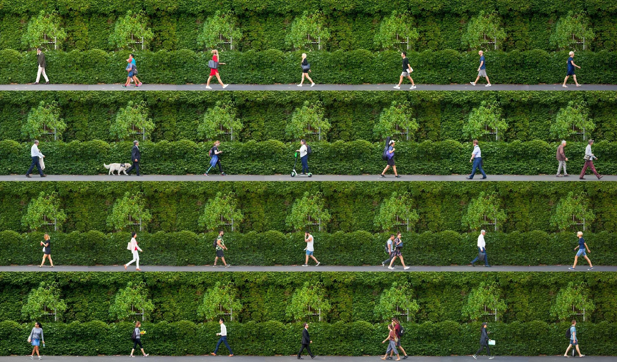 Auckland, New Zealand