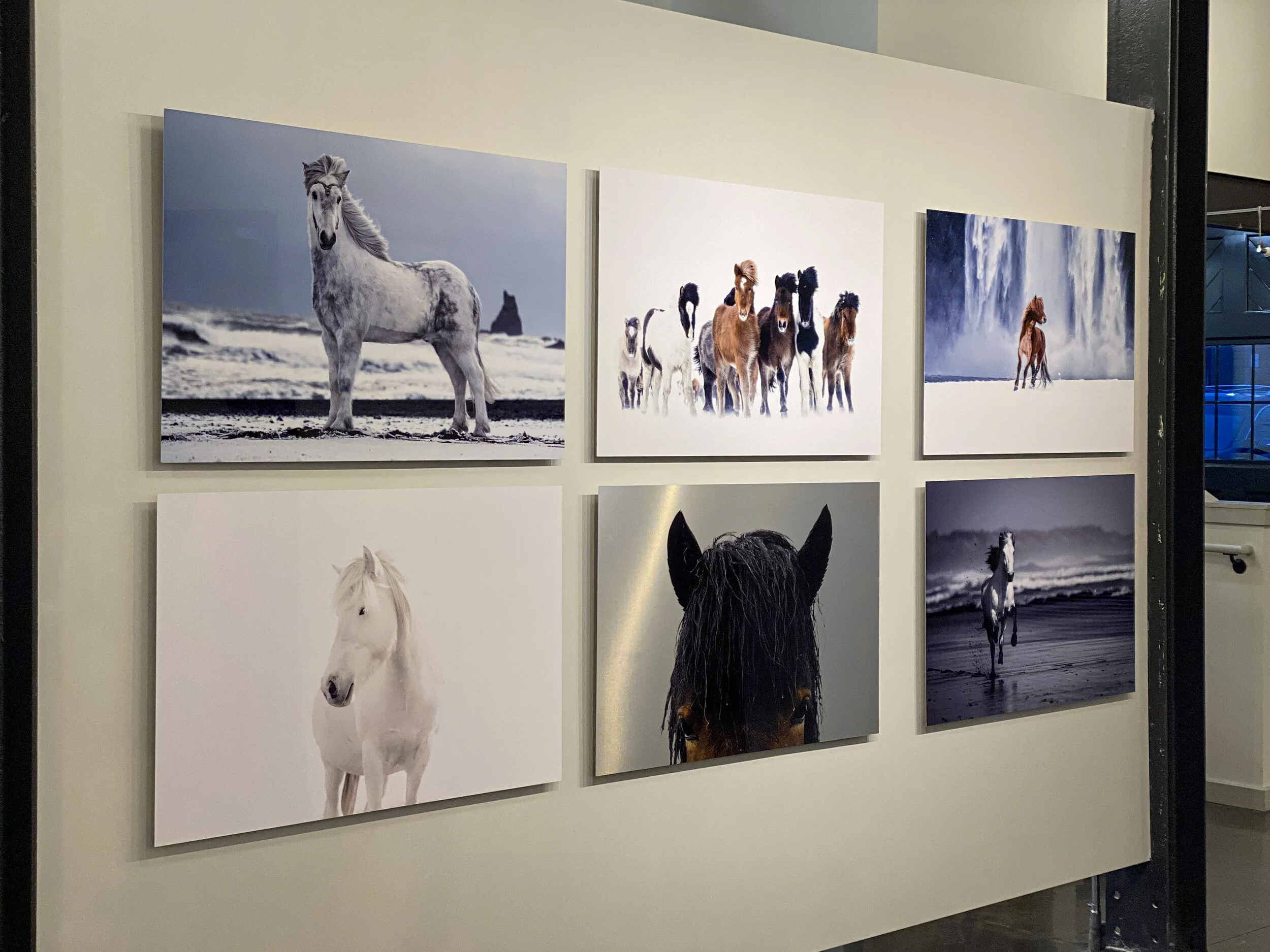 Guadalupe Laiz Virtual Gallery 2 8.jpeg