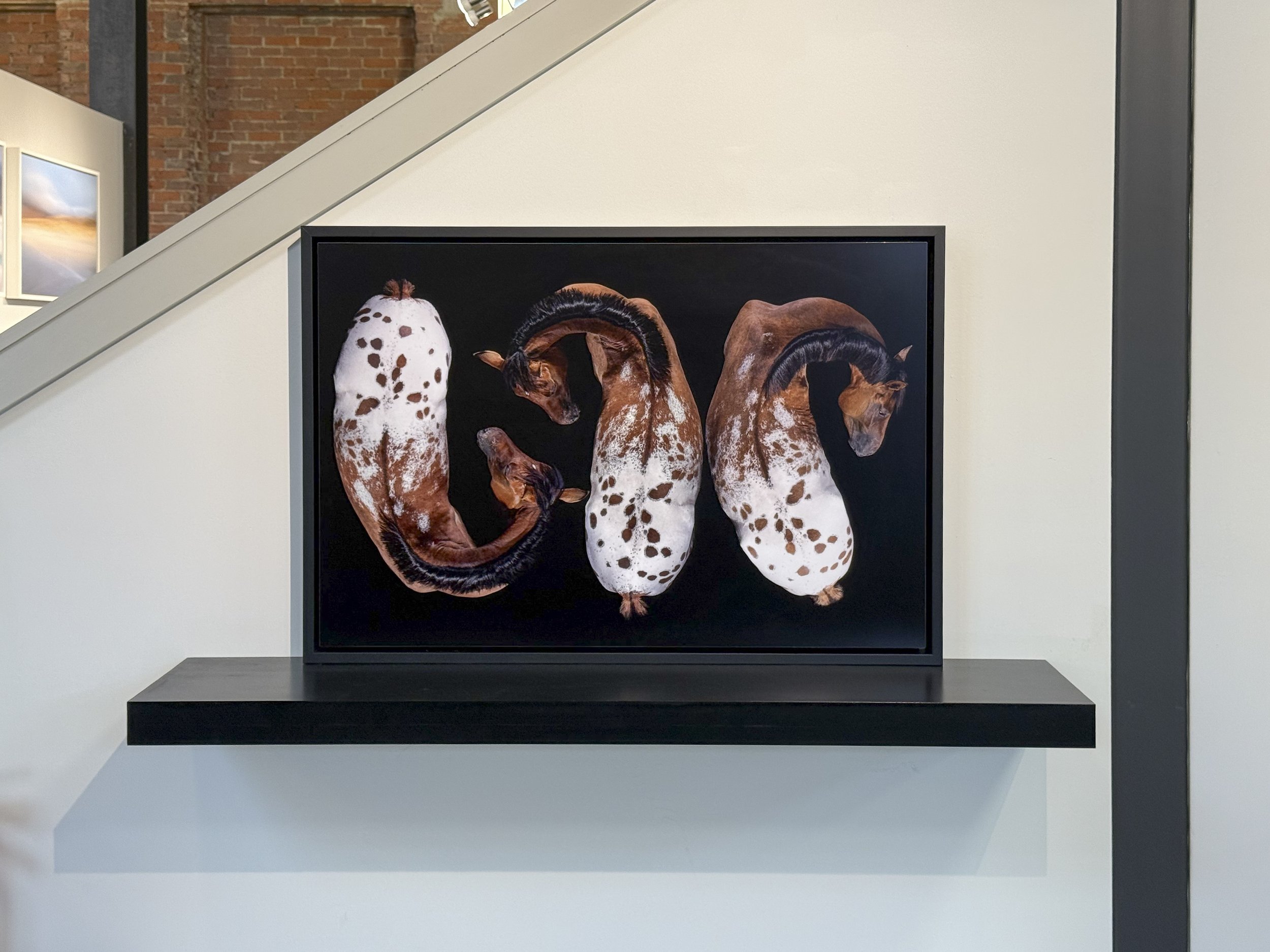 Women Behind The Lens 2926 -75.jpg