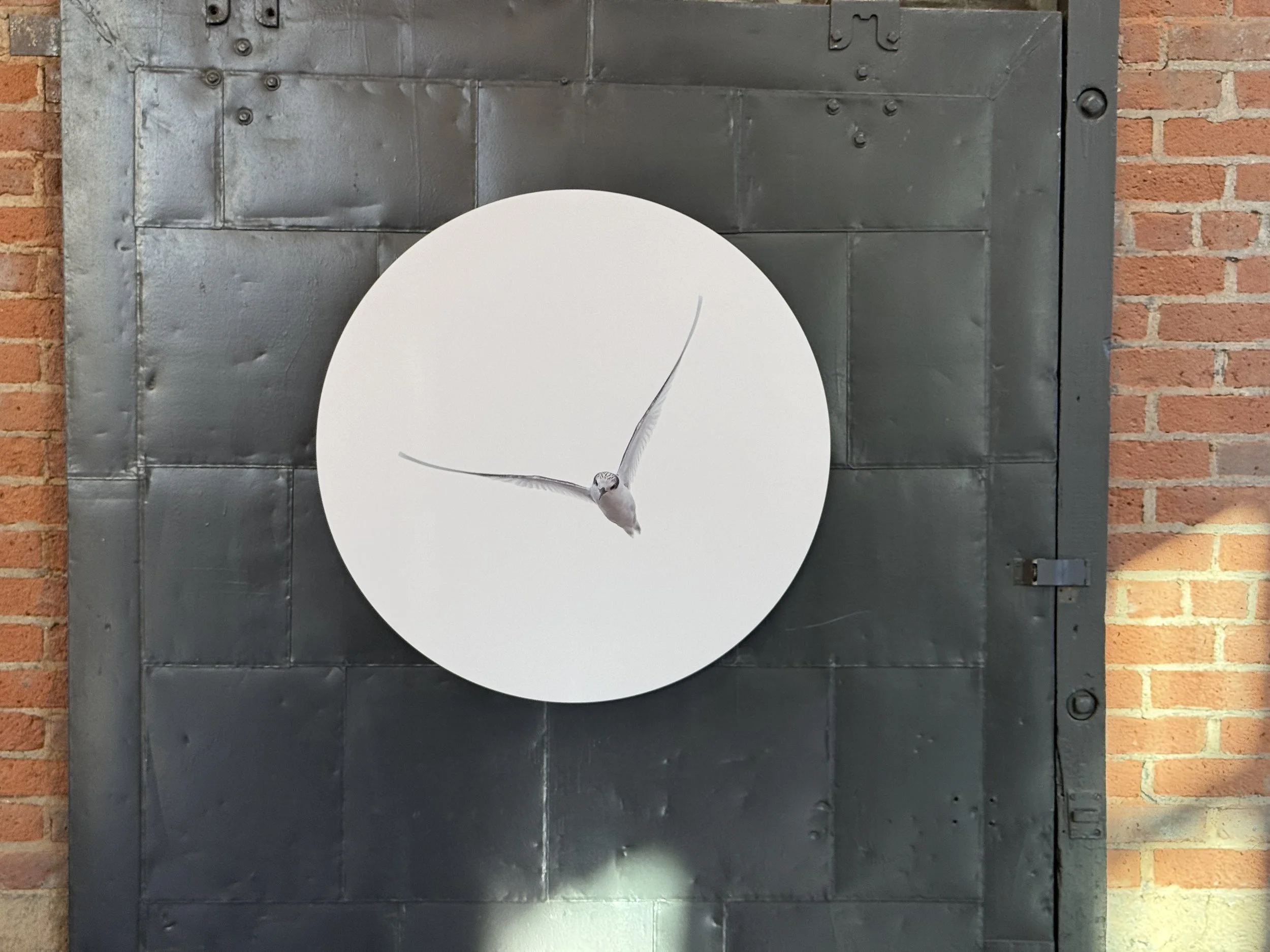 Women Behind The Lens 2926 -6.jpg