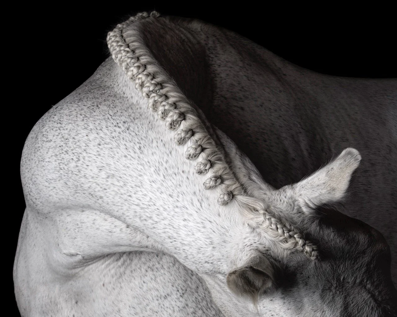 Continuum  • 24x30  • Dye Sublimation on Aluminum 