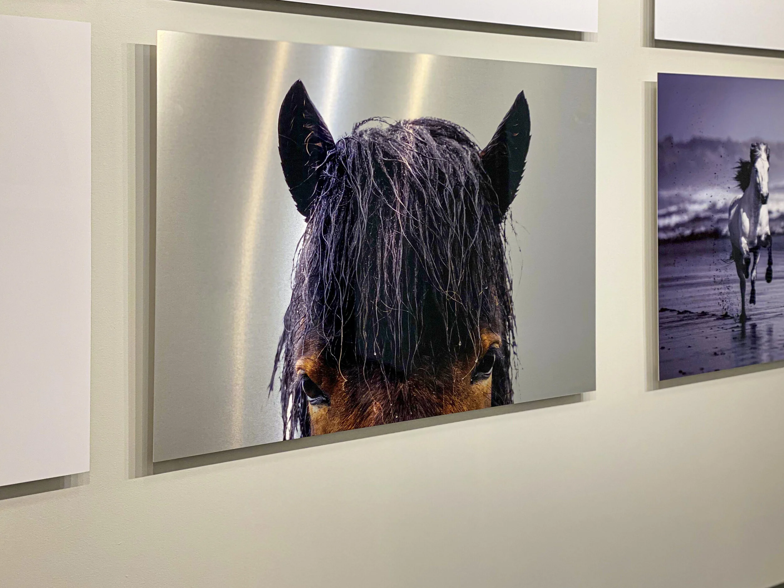 Guadalupe Laiz Virtual Gallery 2 7.jpeg