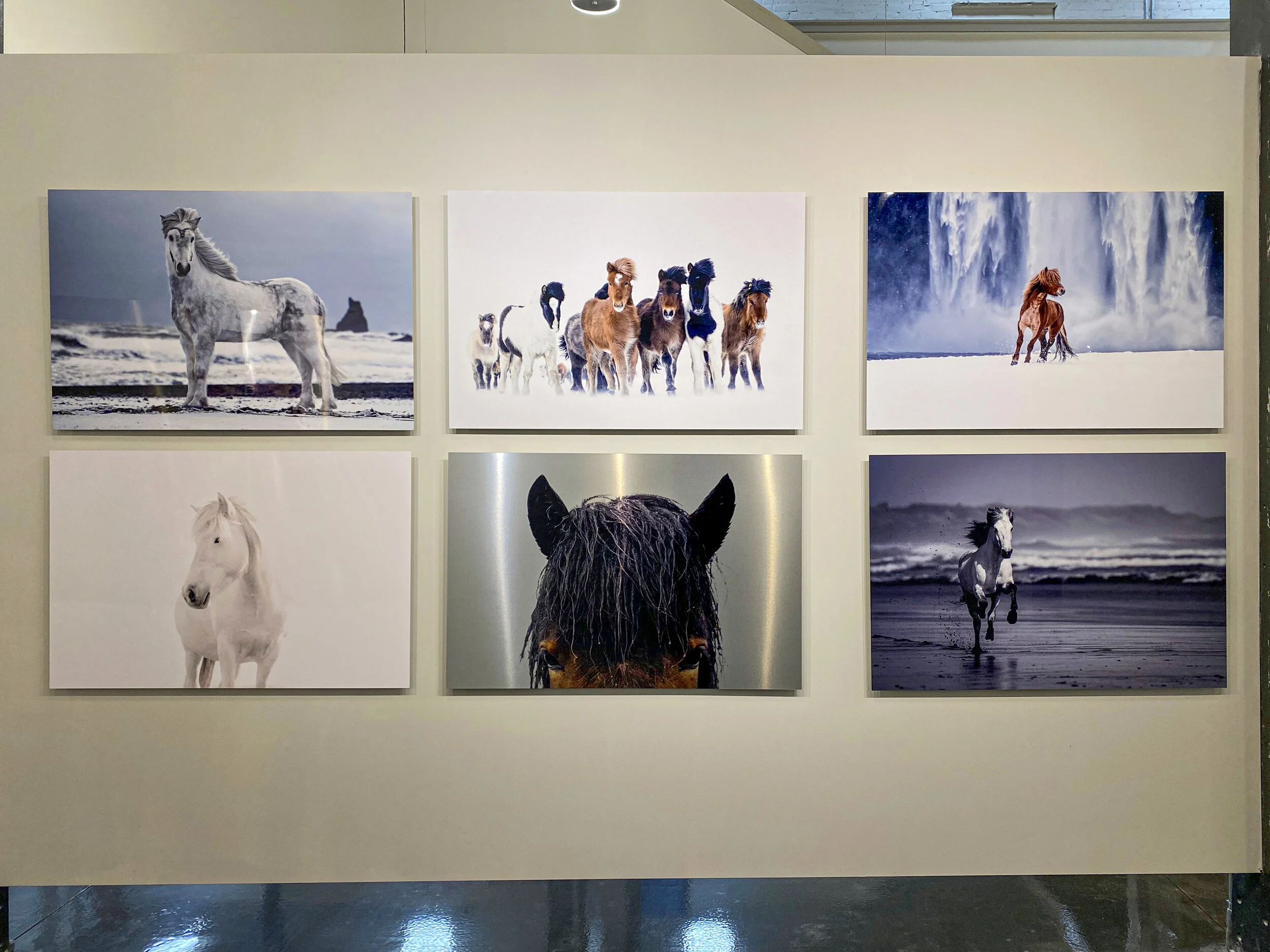 Guadalupe Laiz Virtual Gallery 2 1.jpeg