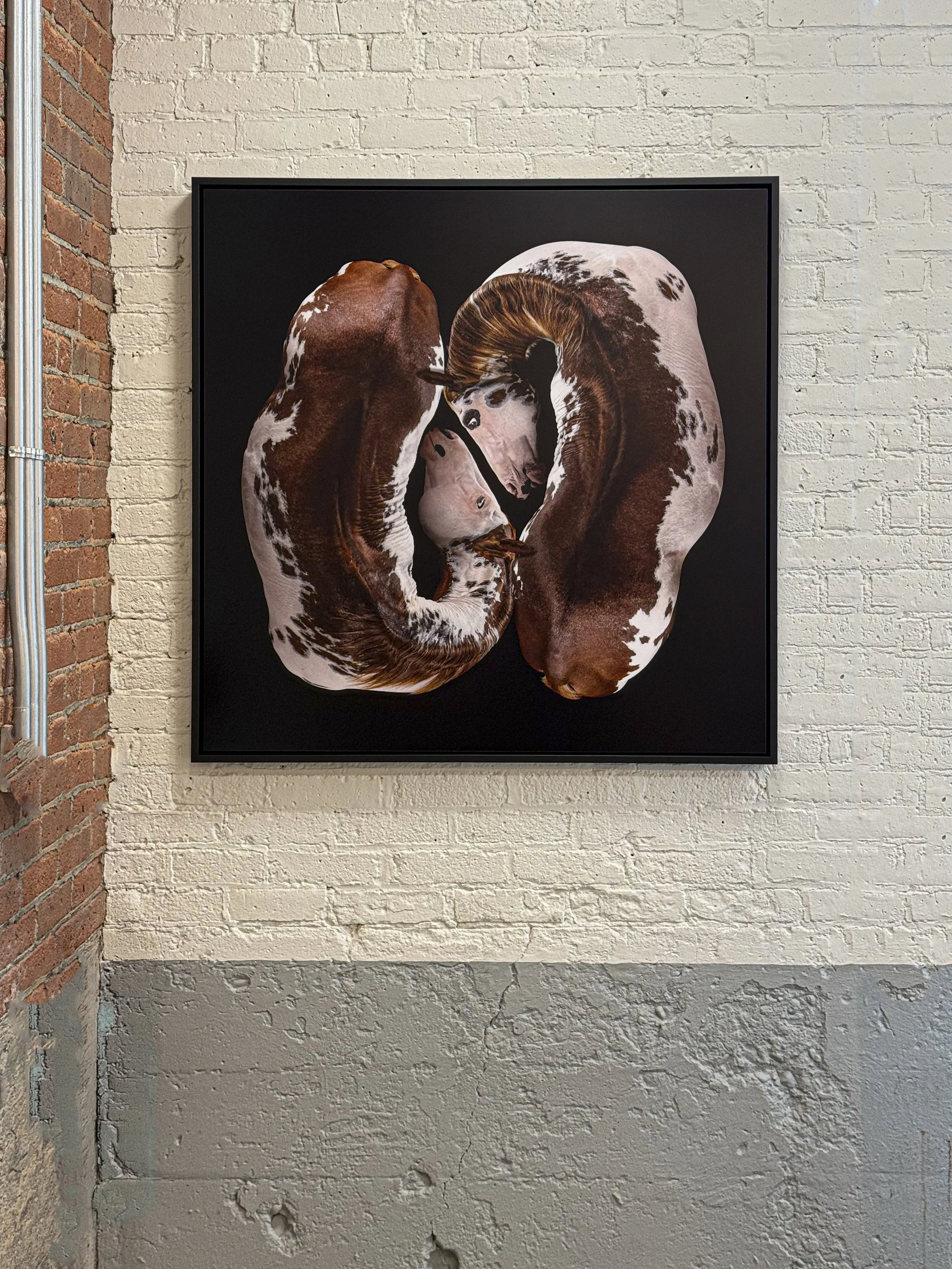 Women Behind The Lens 2926 -34.jpg