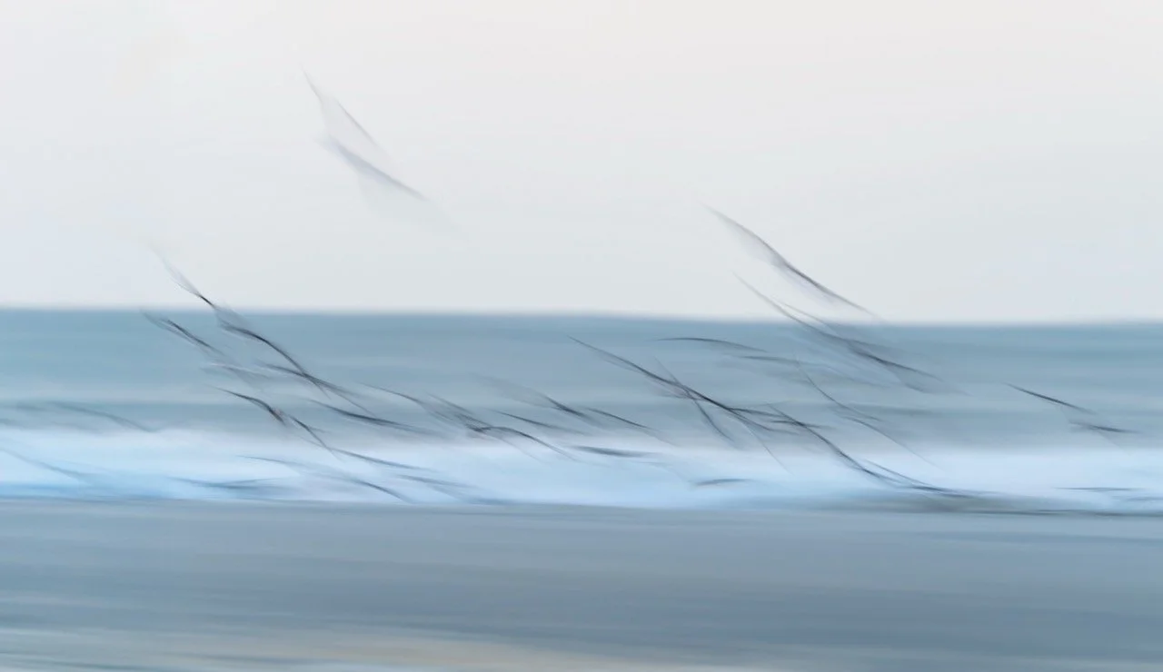 Flutter • 30x52" • Dye Sublimation on Aluminum