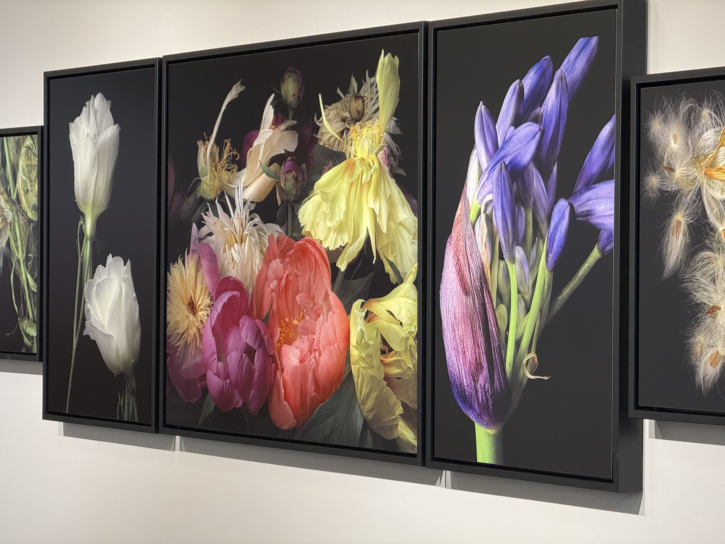 Women Behind The Lens 2926 -114.jpg