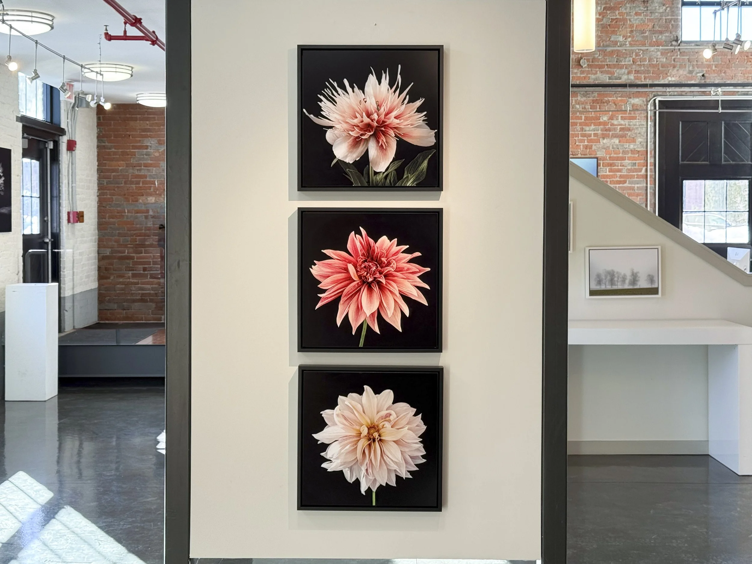 Women Behind The Lens 2926 -1 copy.jpg