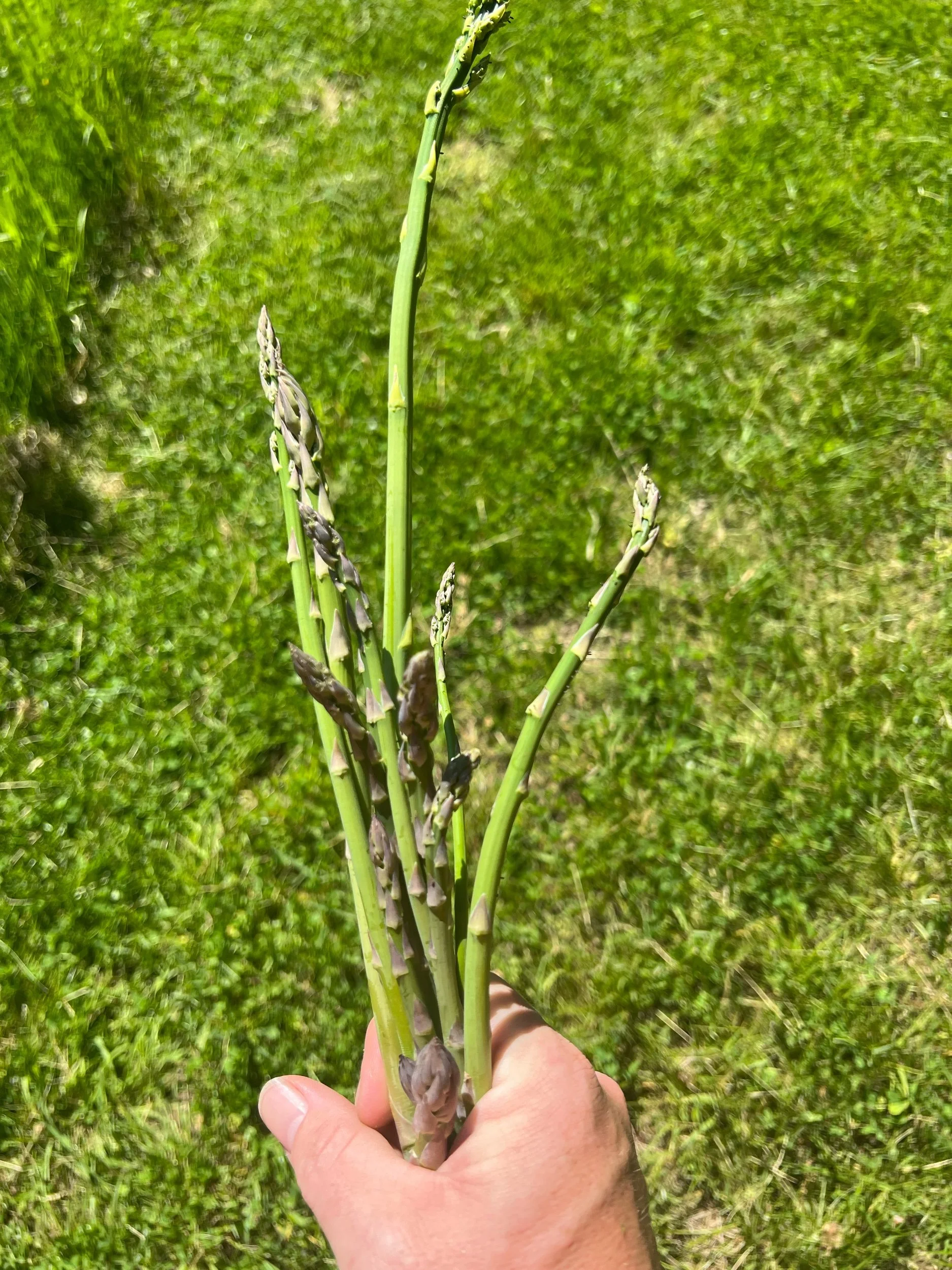 Intentional effort is worth the wait for the payoff