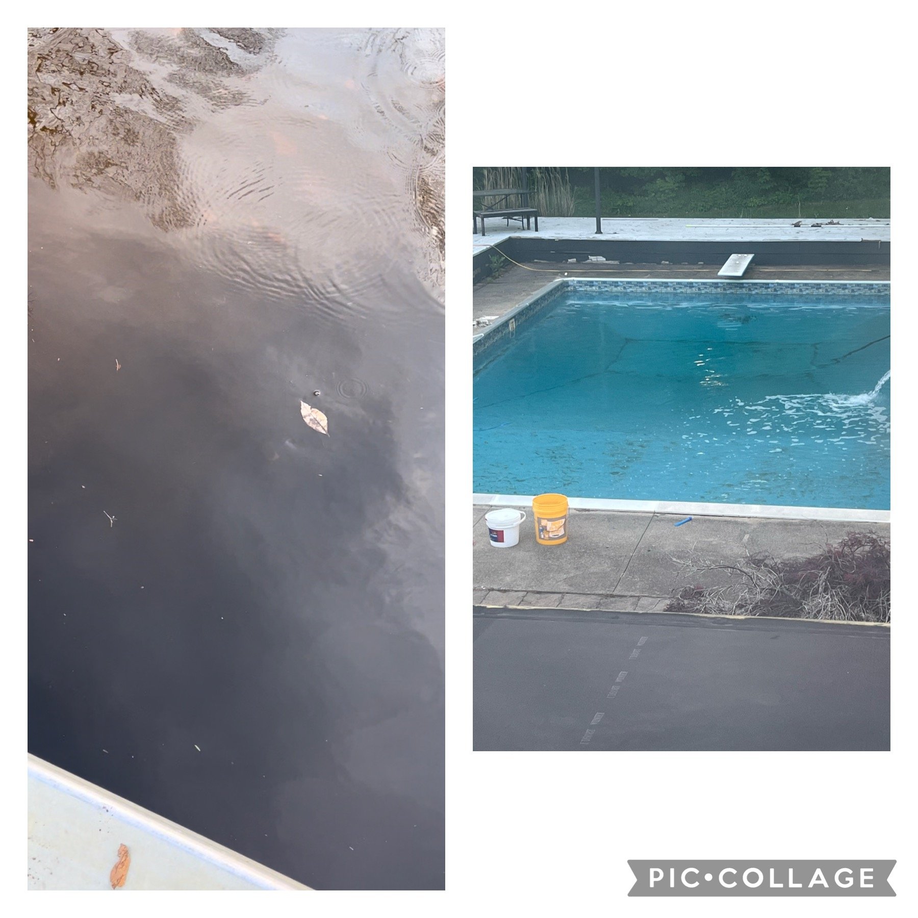 Lessons on achieving goals from rehabbing a neglected pool