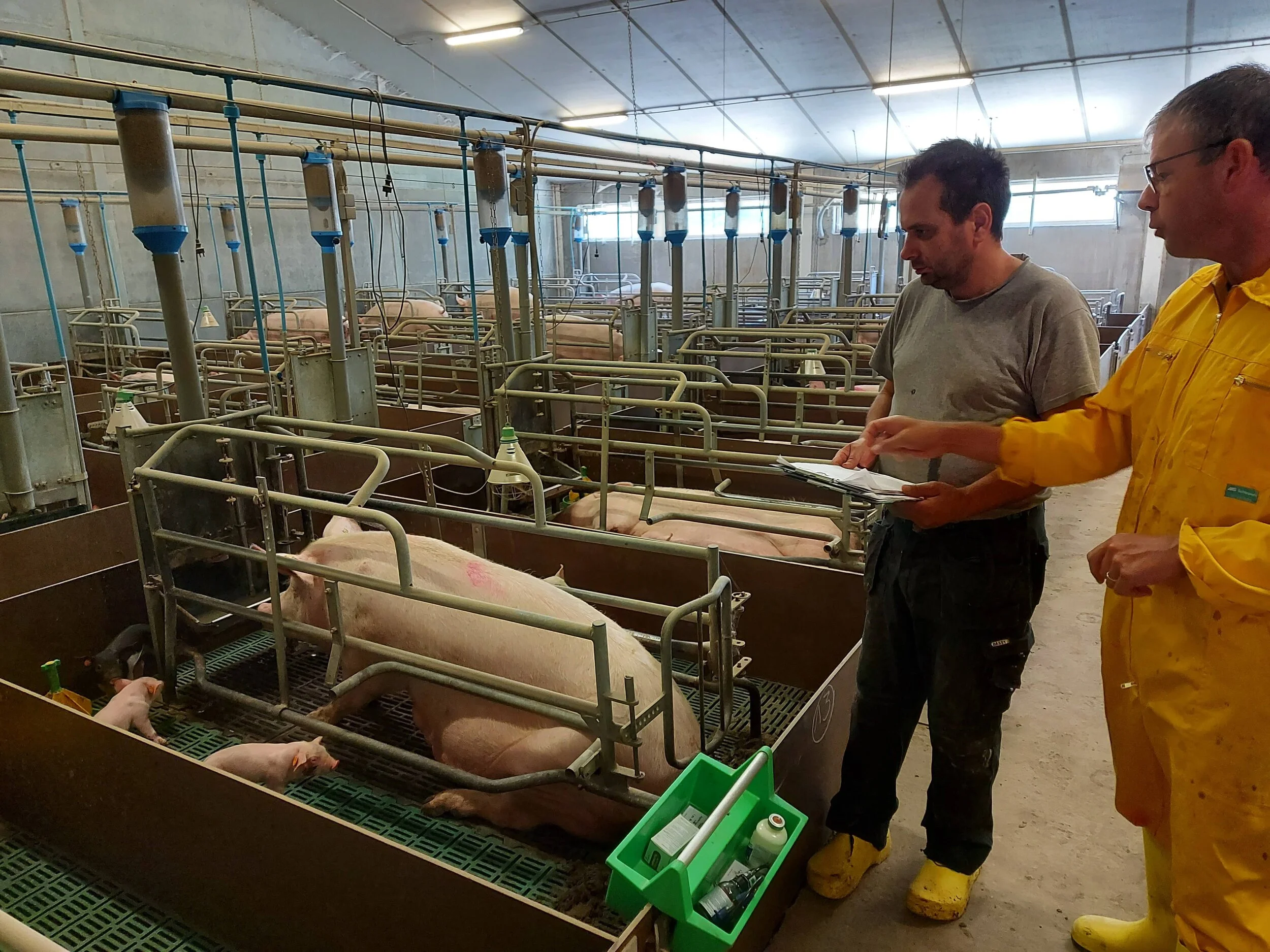 Elk bedrijf kan verbeteren