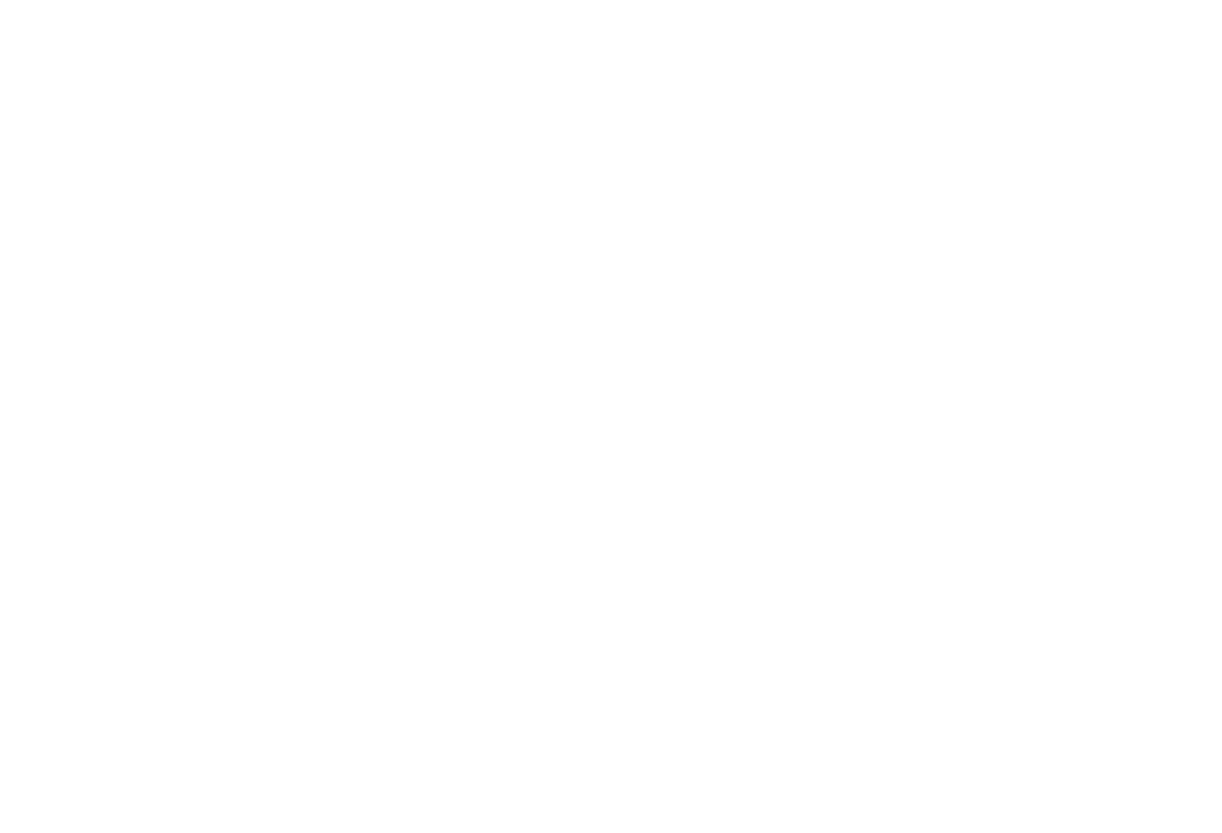Balanced-Spectrum infographic website image transparent copy.png