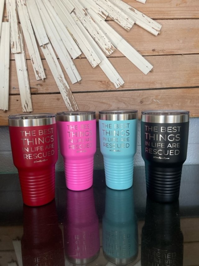 Water Cups.jpeg