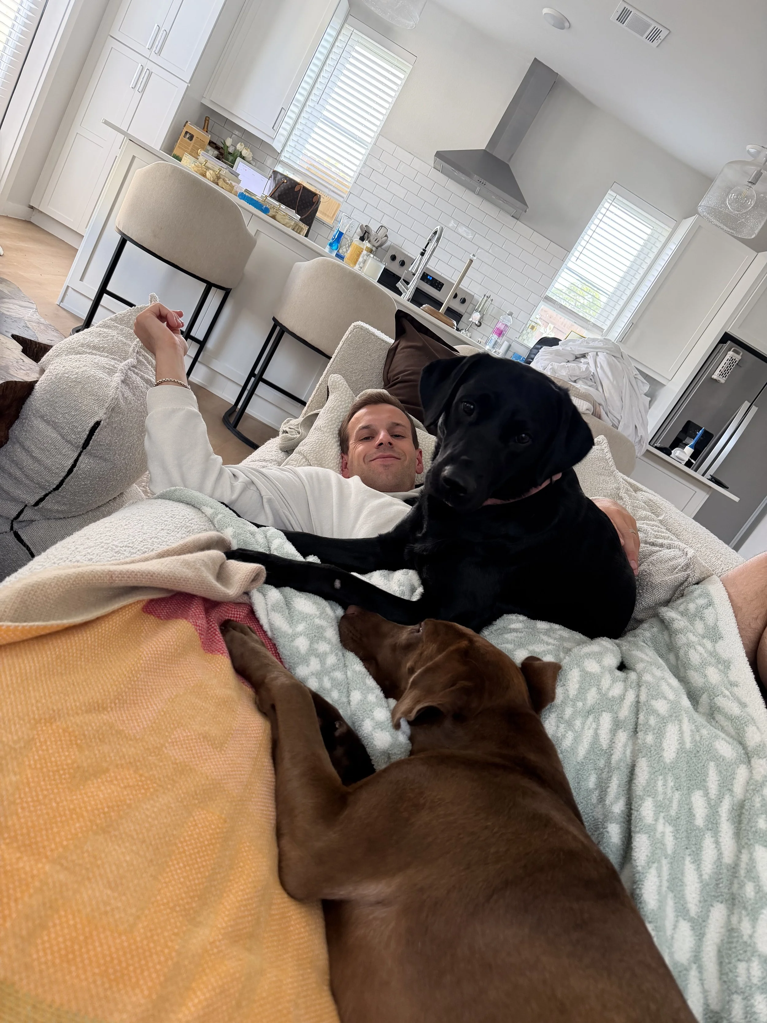 Chocolate Labrador, DFW, adopt, rescue, dog, McKinney, Texas, Plano, Frisco, summer