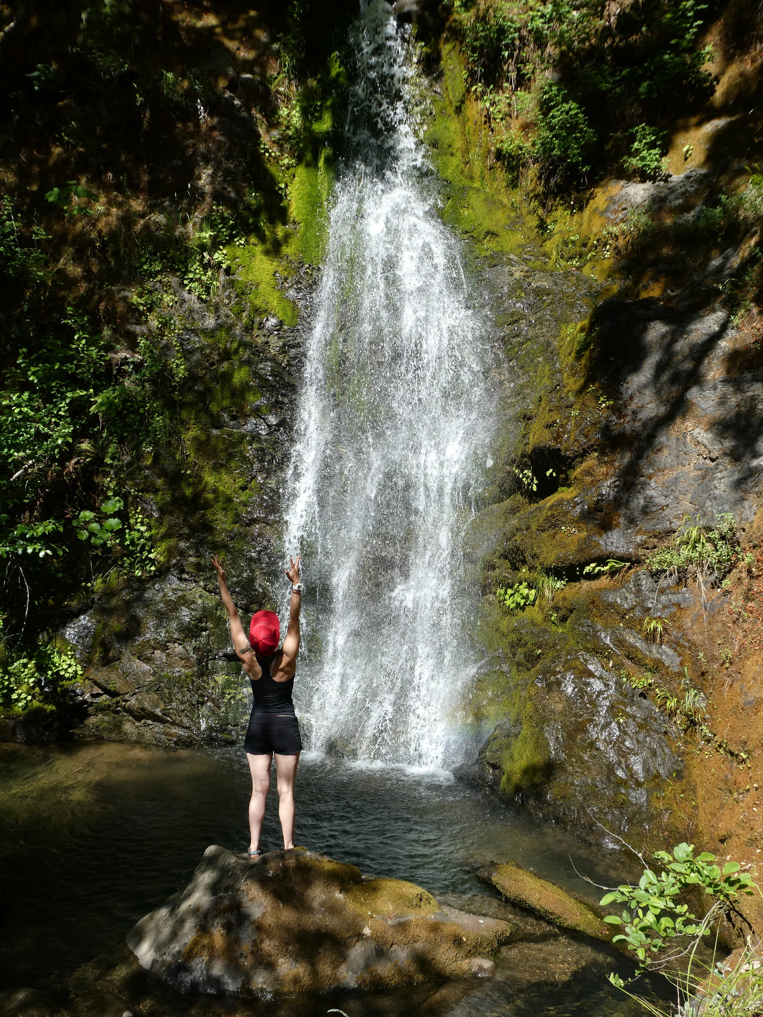 YIP_upward mountain_tate creek_natesrogueadventures.JPG