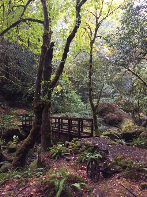 hiking_scenic_rogue_river_trail.JPG