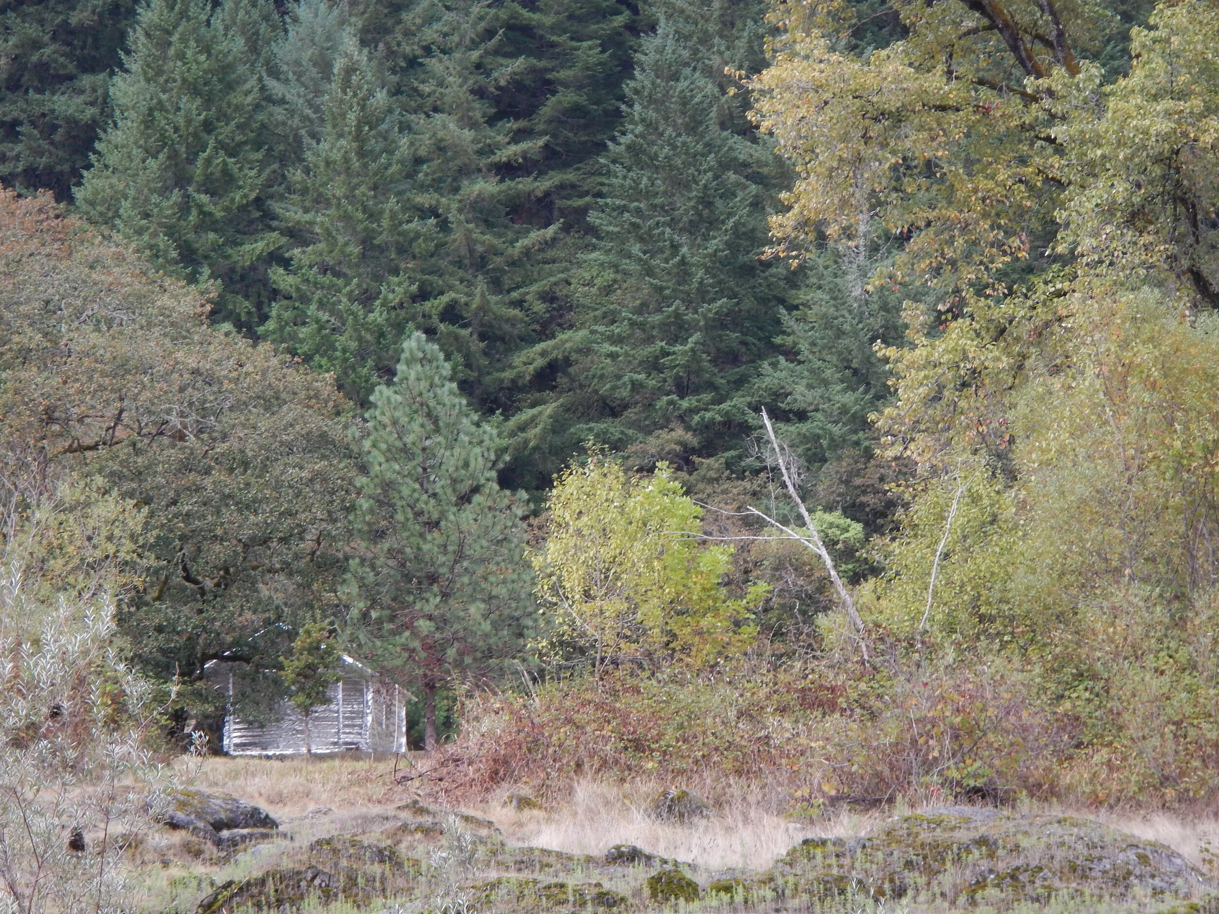 zane_grey_foil_cabin_nates_rogue_adventures.JPG