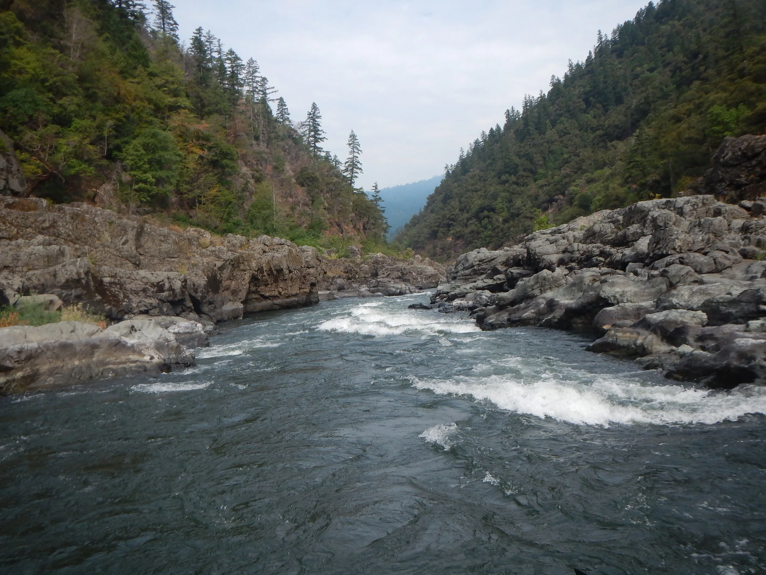 wild-scenic-rogue-river-raft.JPG