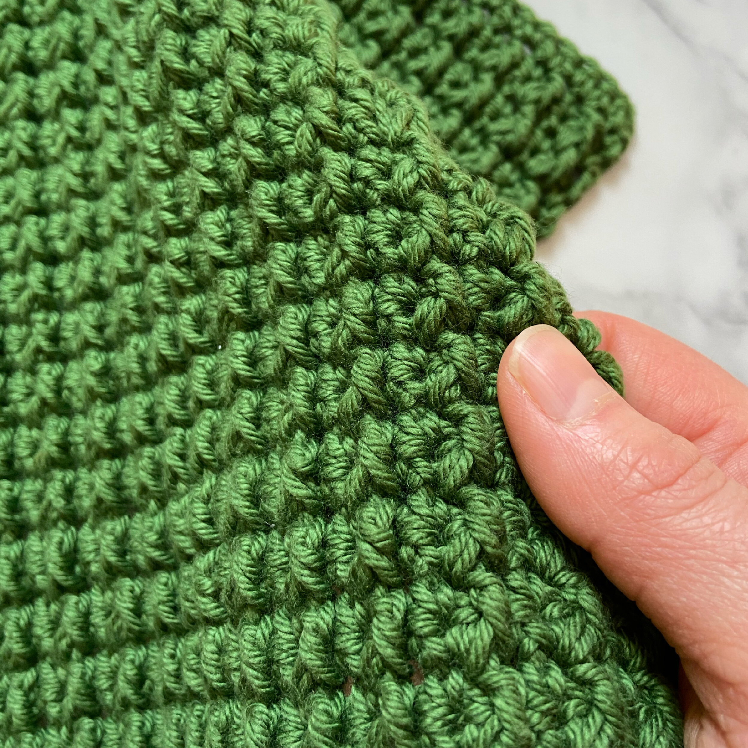 Stitch Exploration Series - Pollyanna Dishcloth — Capital Crochet