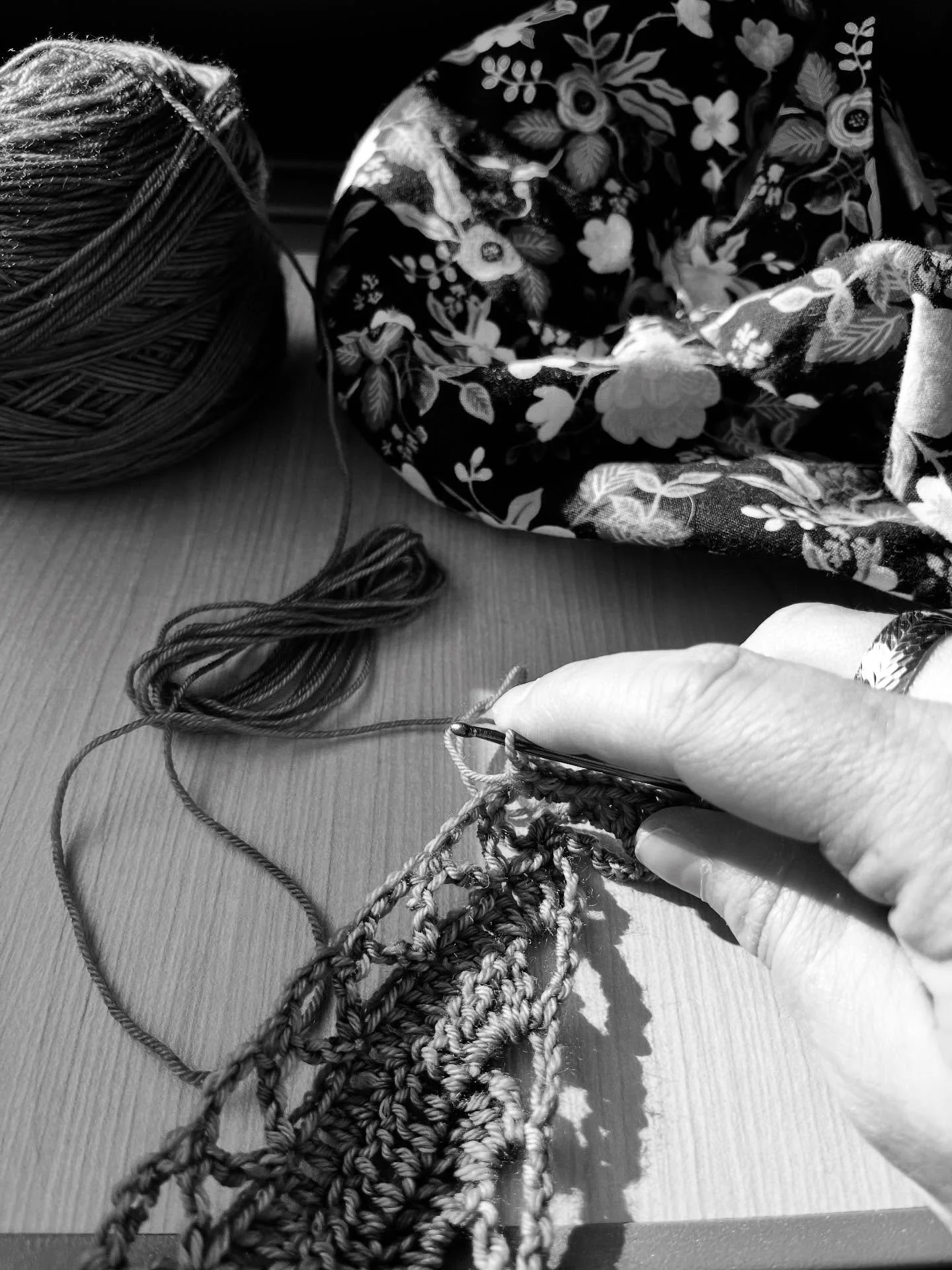 Crochet on the train 🧶🚊 
~
#porcupinetree #trains #travel #nevernotcrocheting #crochet #makersgonnamake #viarail