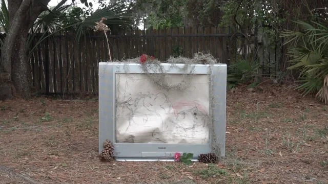 We Now Return to Your Regular Scheduled Nessa