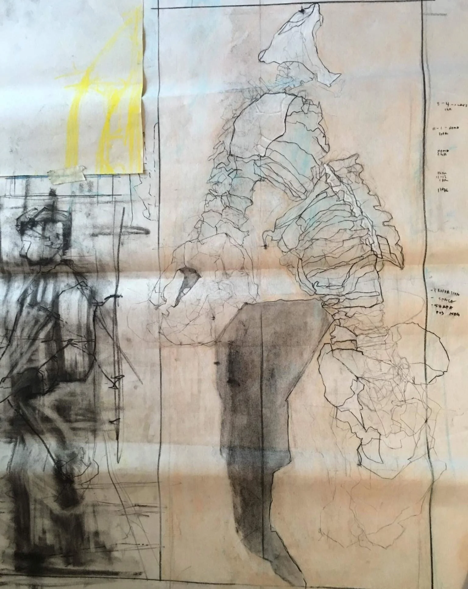 Ribs / Pelvis bone study, 2016.