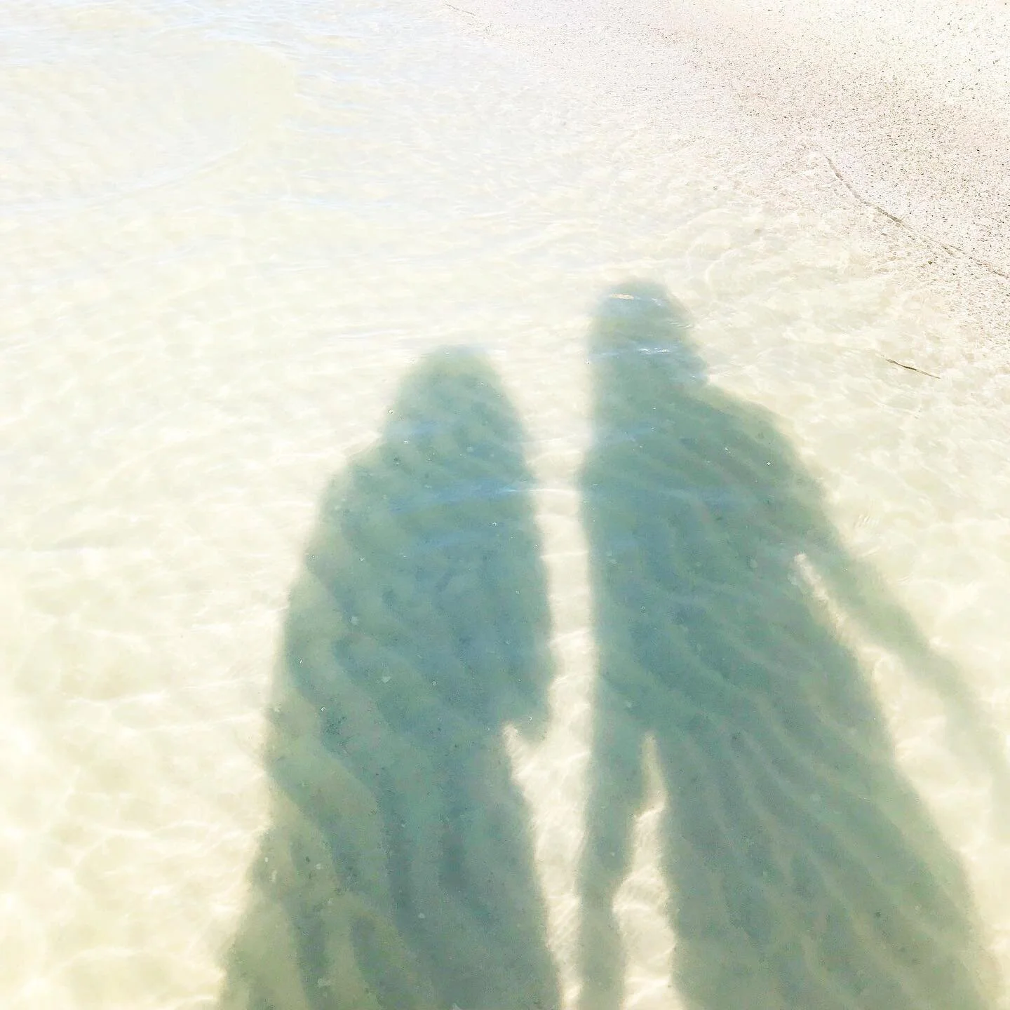 Beach walks- good for the 💛