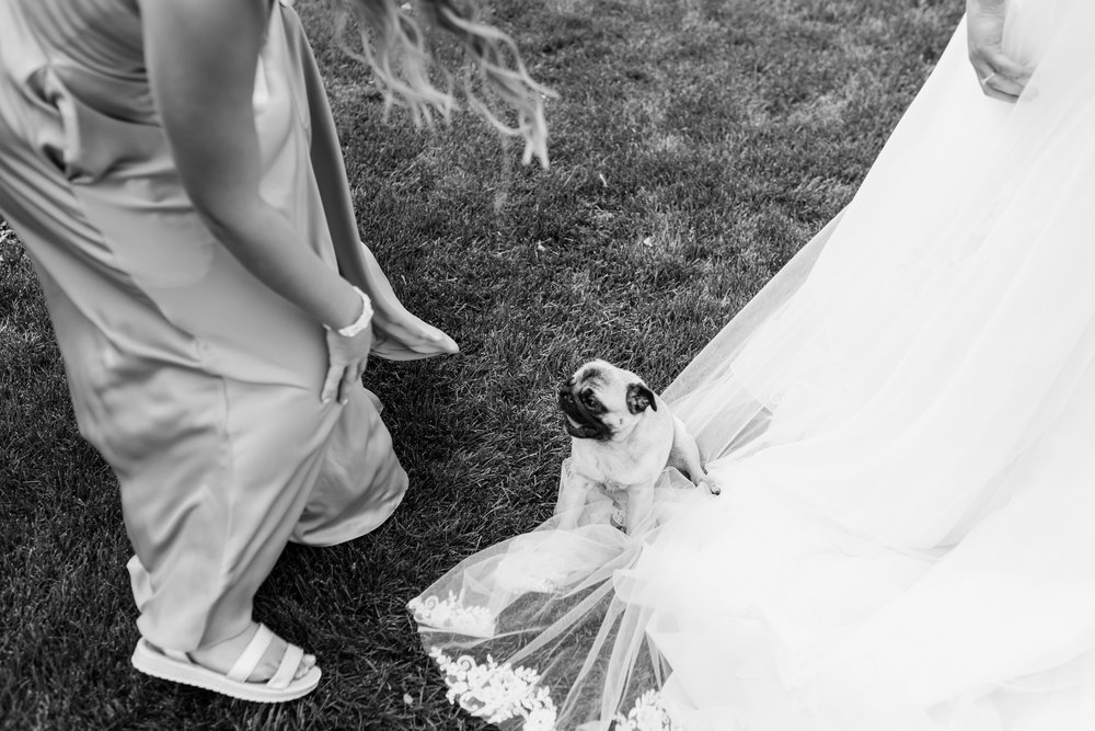 Lethbridge-Outdoor-Wedding-Photographer-1012.jpg